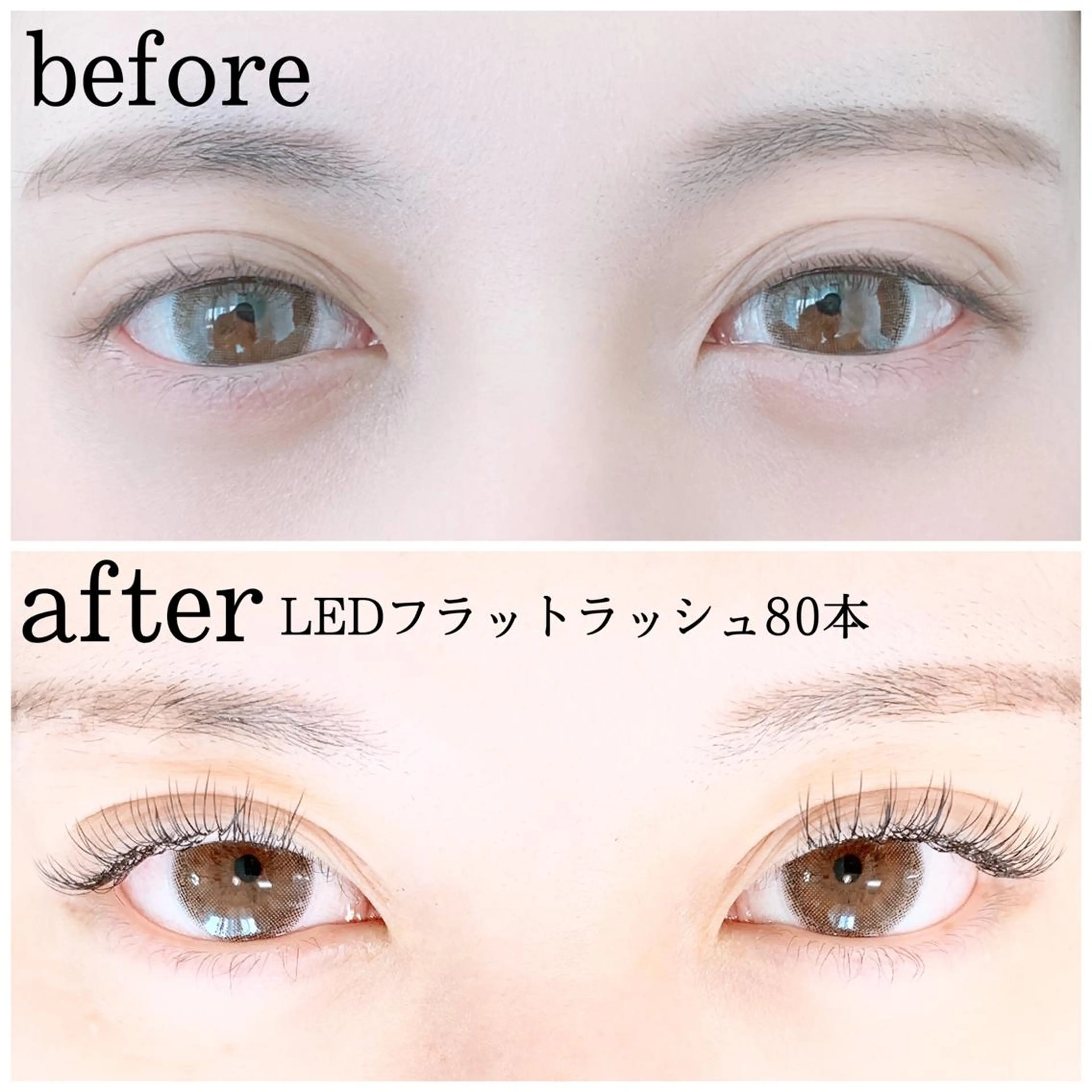 🤍ミニモ特別価格🤍次世代LEDフラットラッシュナチュラル好きの方にオススメ80本！！超持続性🦋LEDお試し特価！の写真