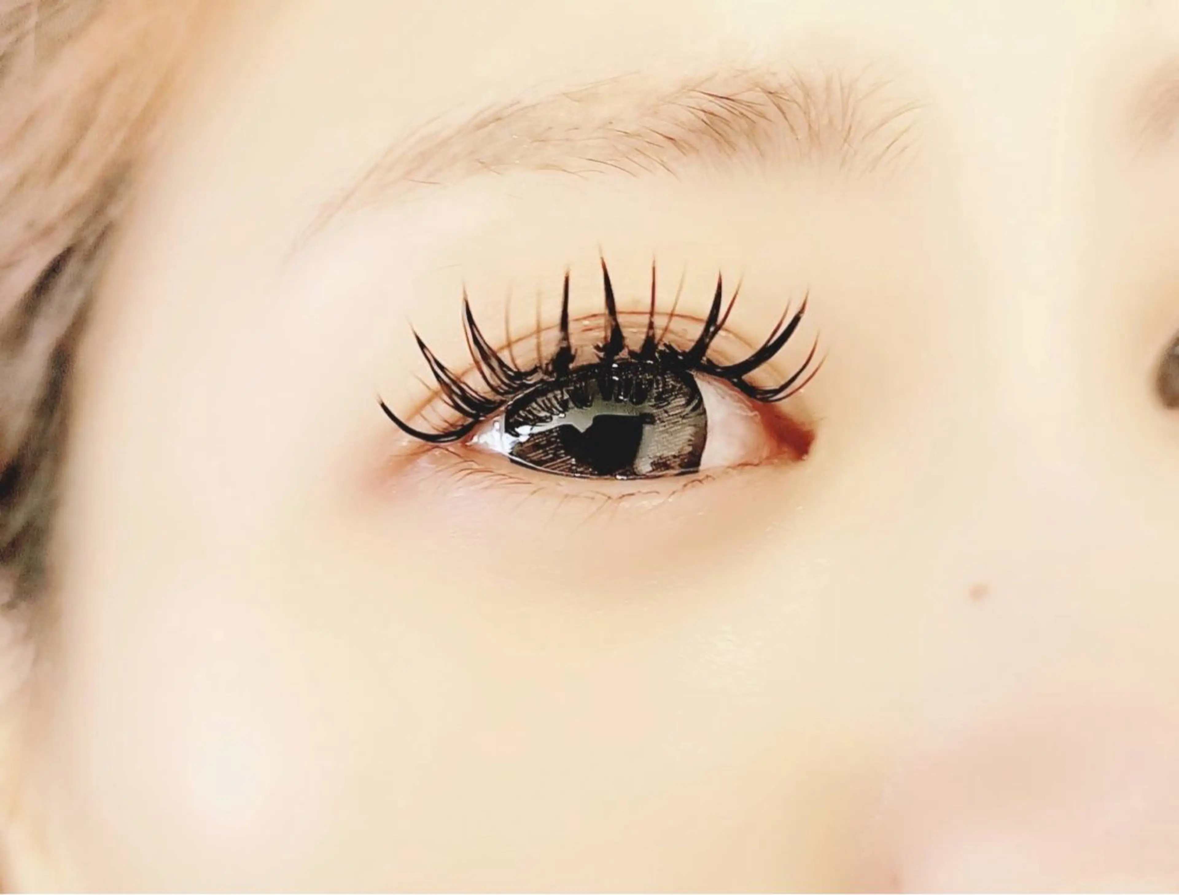 マツエク・マツパ フラットラッシュ Wardrobe by CHERIE所属・サロンドットクッキー KYUのマツエク・マツパデザイン