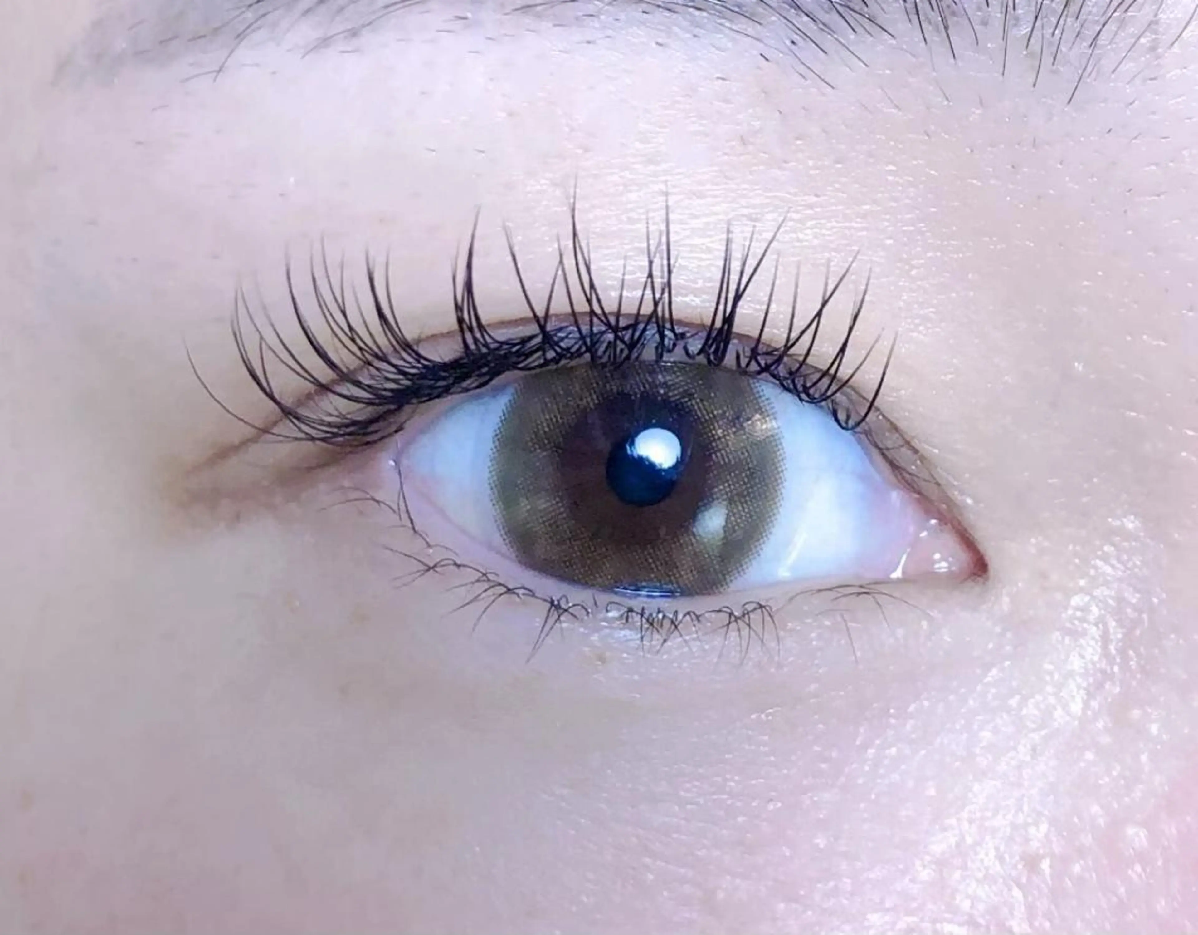 マツエク・マツパ フラットラッシュ Melia Chieのマツエク・マツパデザイン