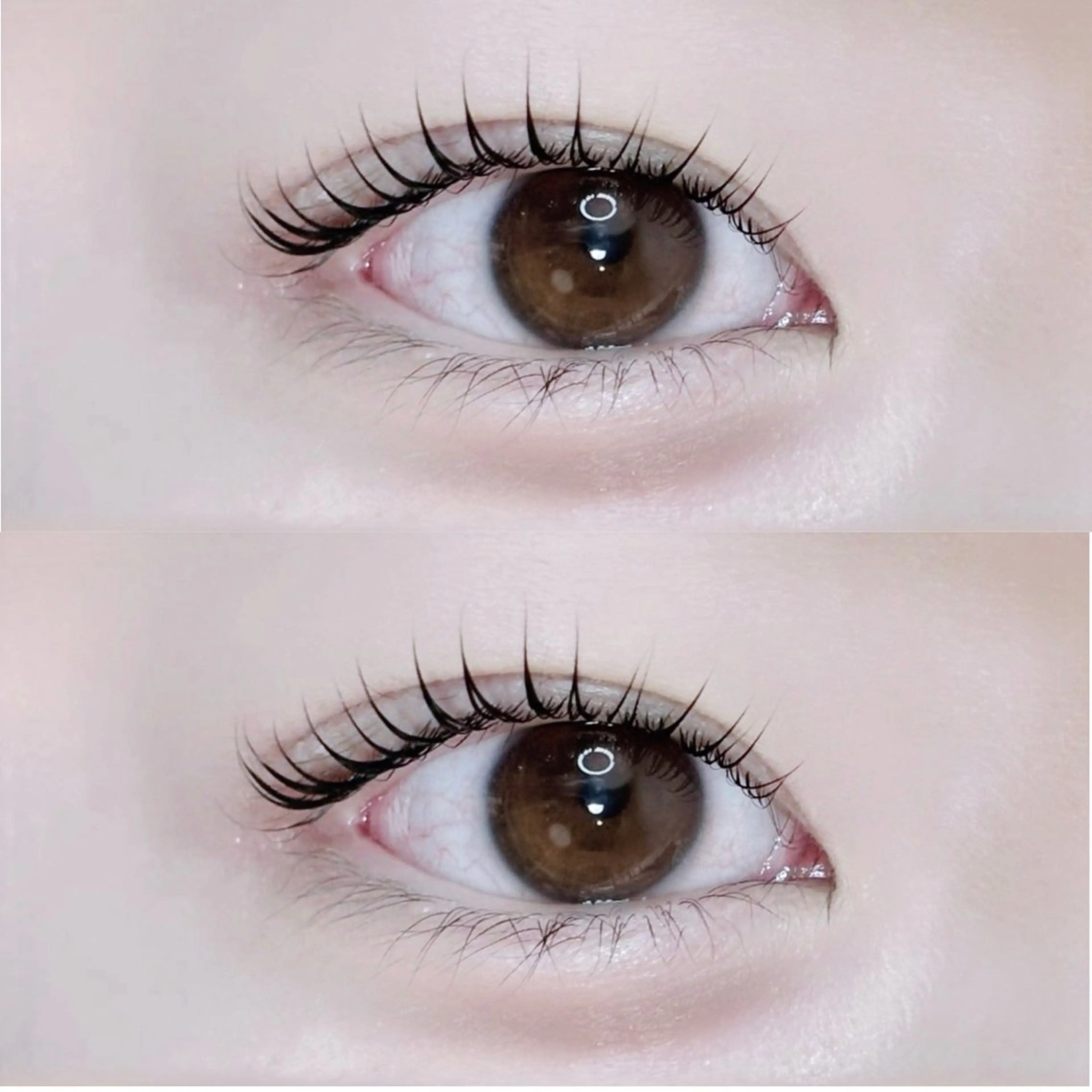 【✨3/27空き有🈳✨】🎀ご新規様限定🎀潤いまつ毛パーマ(コーティングお仕上げ付き)の写真