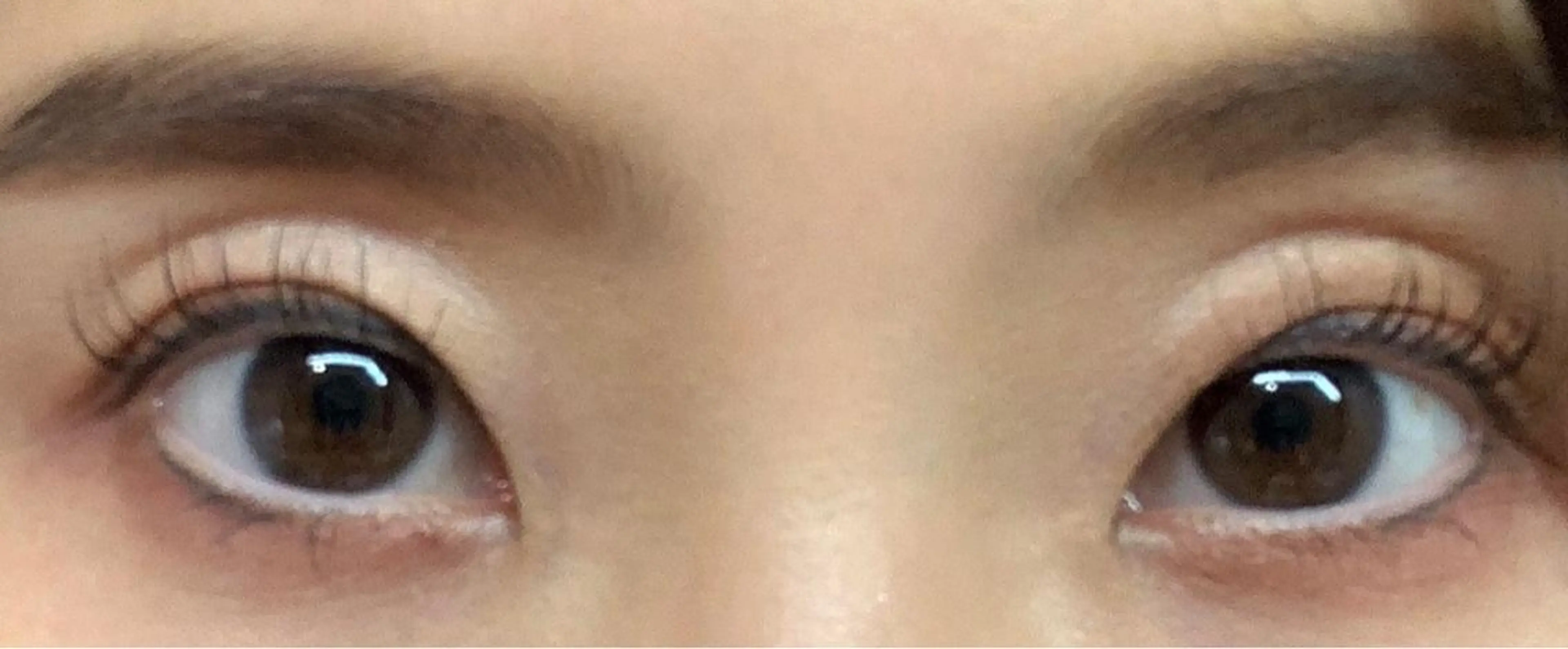 ⭐︎トリートメントまつげパーマ⭐︎5500円の写真