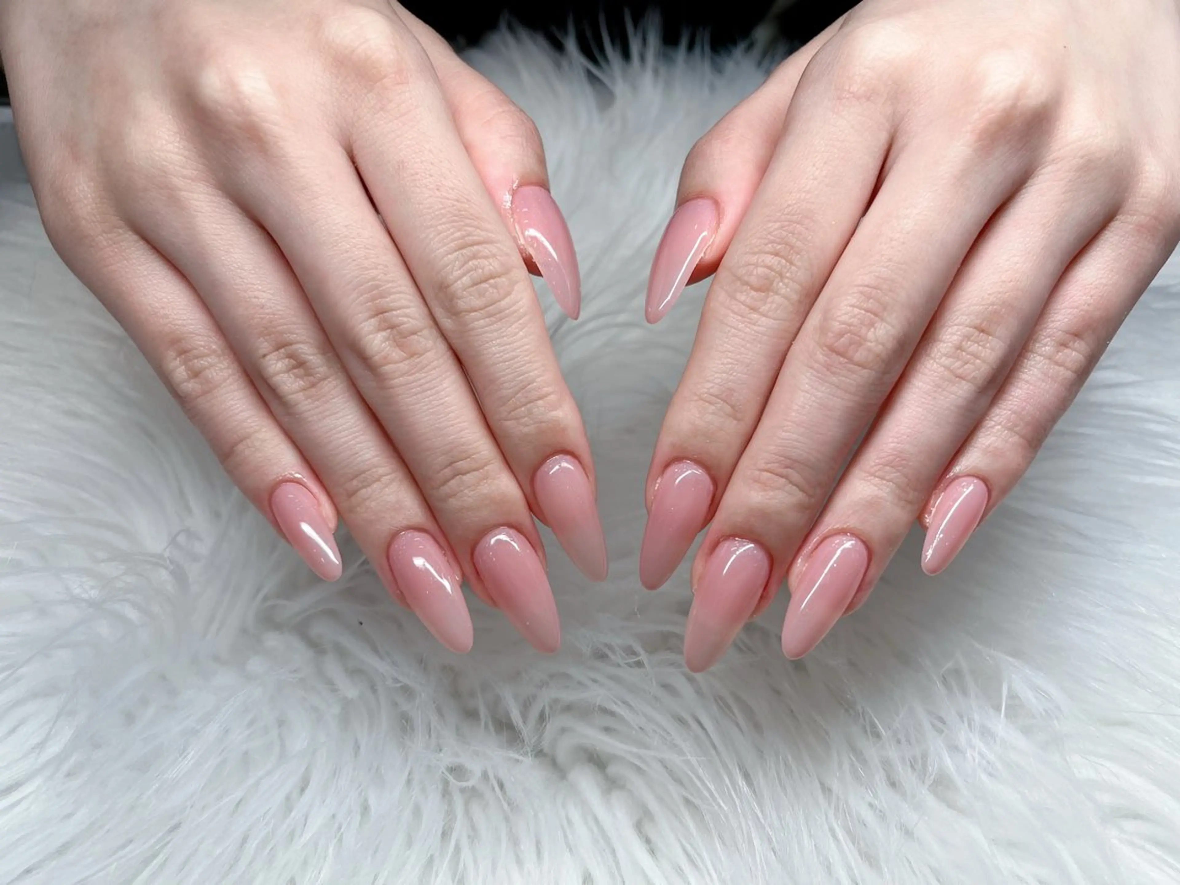 ワンカラーの写真