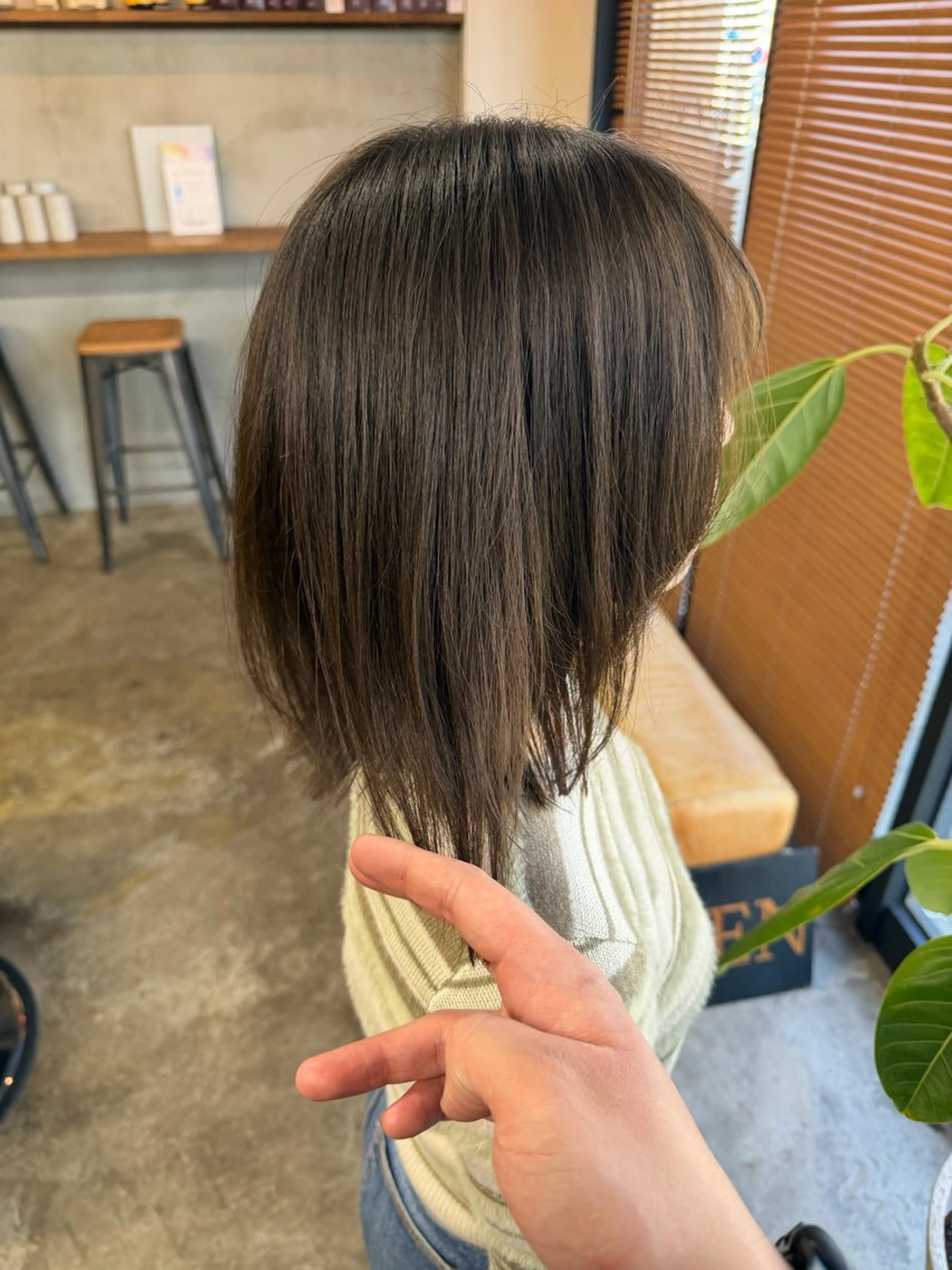 カット+シングルカラーの写真