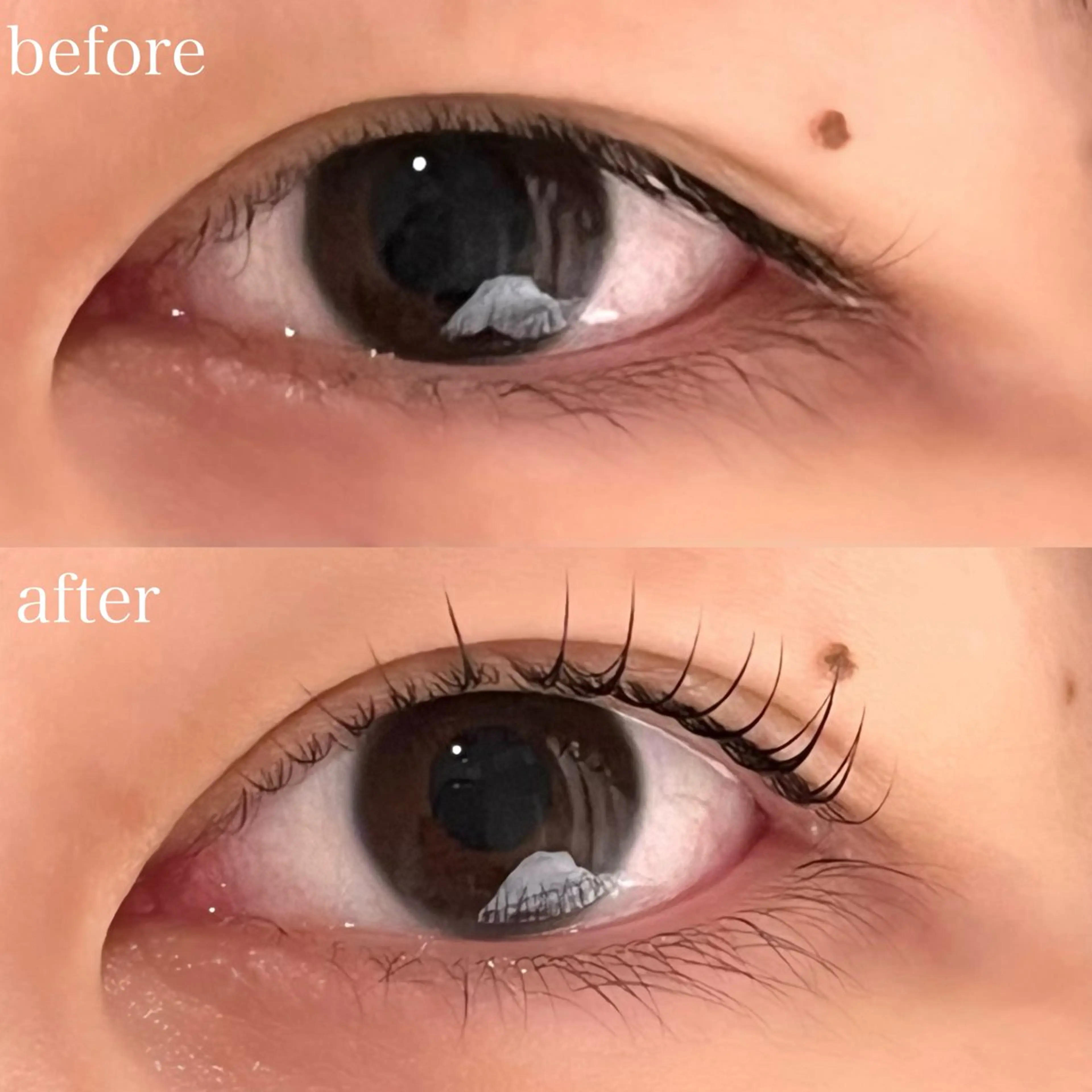 マツエク・マツパ Cカール まつげパーマ 縁と縁enn-to-yukari所属・金倉 彩乃のマツエク・マツパデザイン