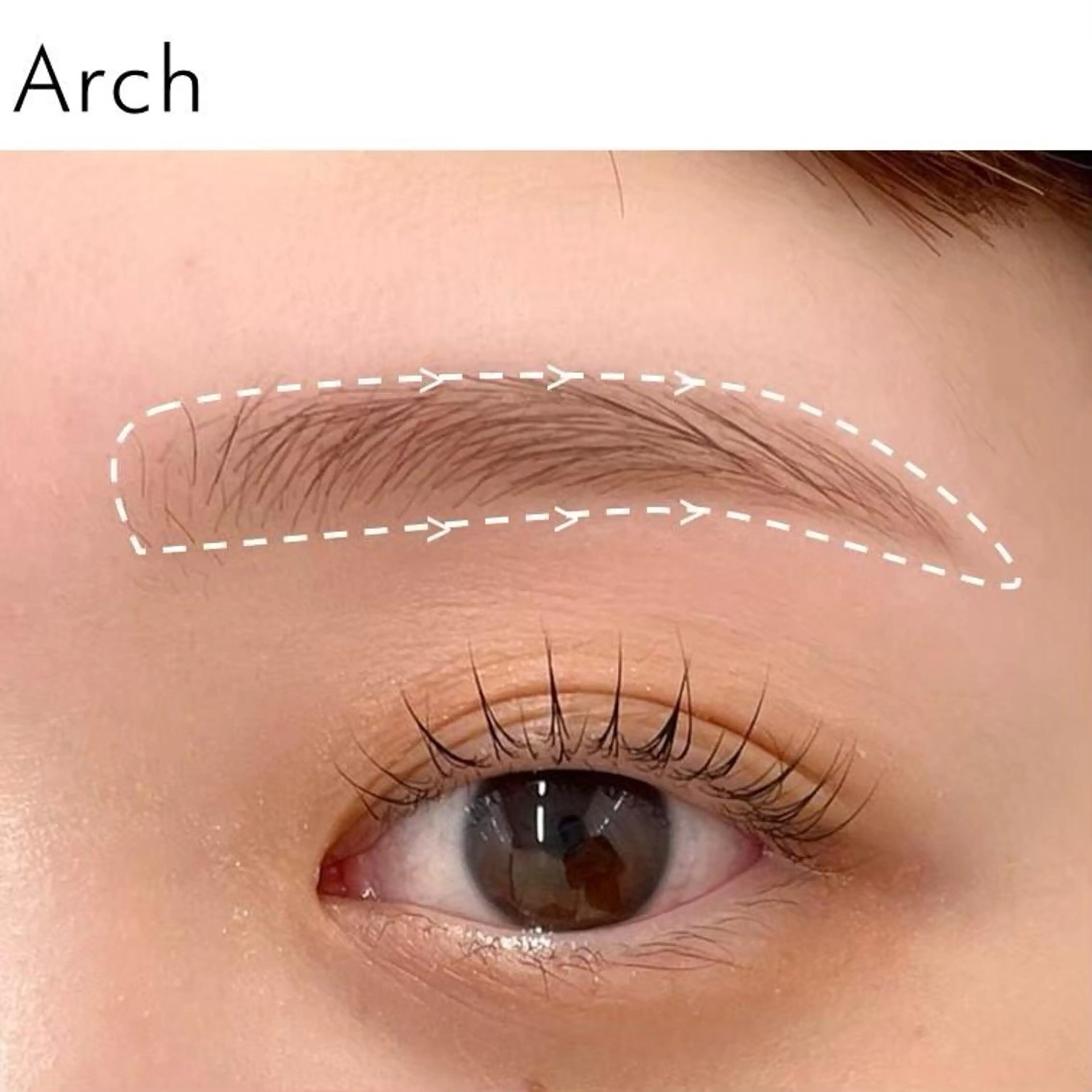 アイブロウ 「トレンド眉🌈✨」 meiの眉毛・アイブロウイメージ