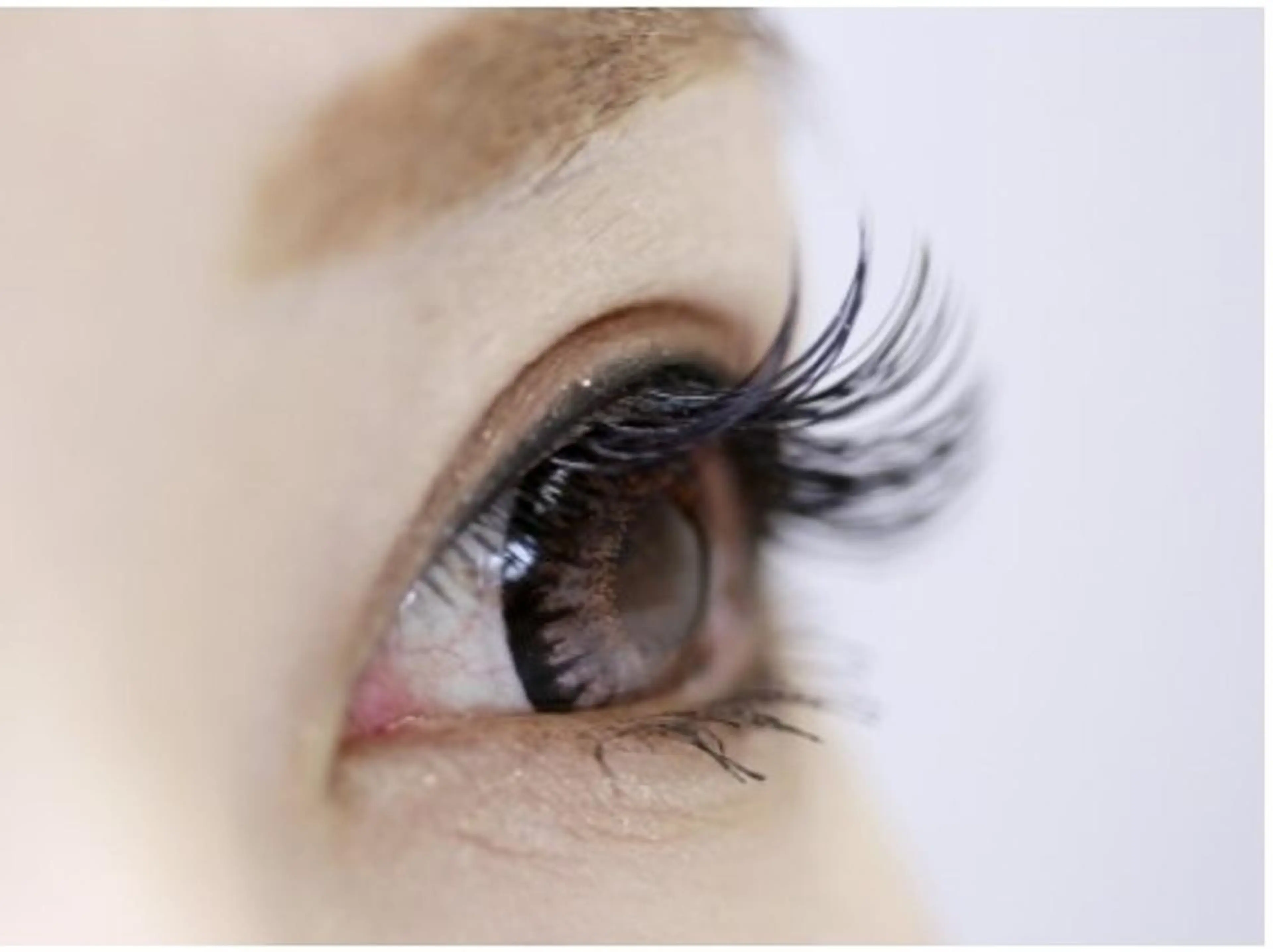 【華やかな目元】ボリュームラッシュ300本★¥6500の写真