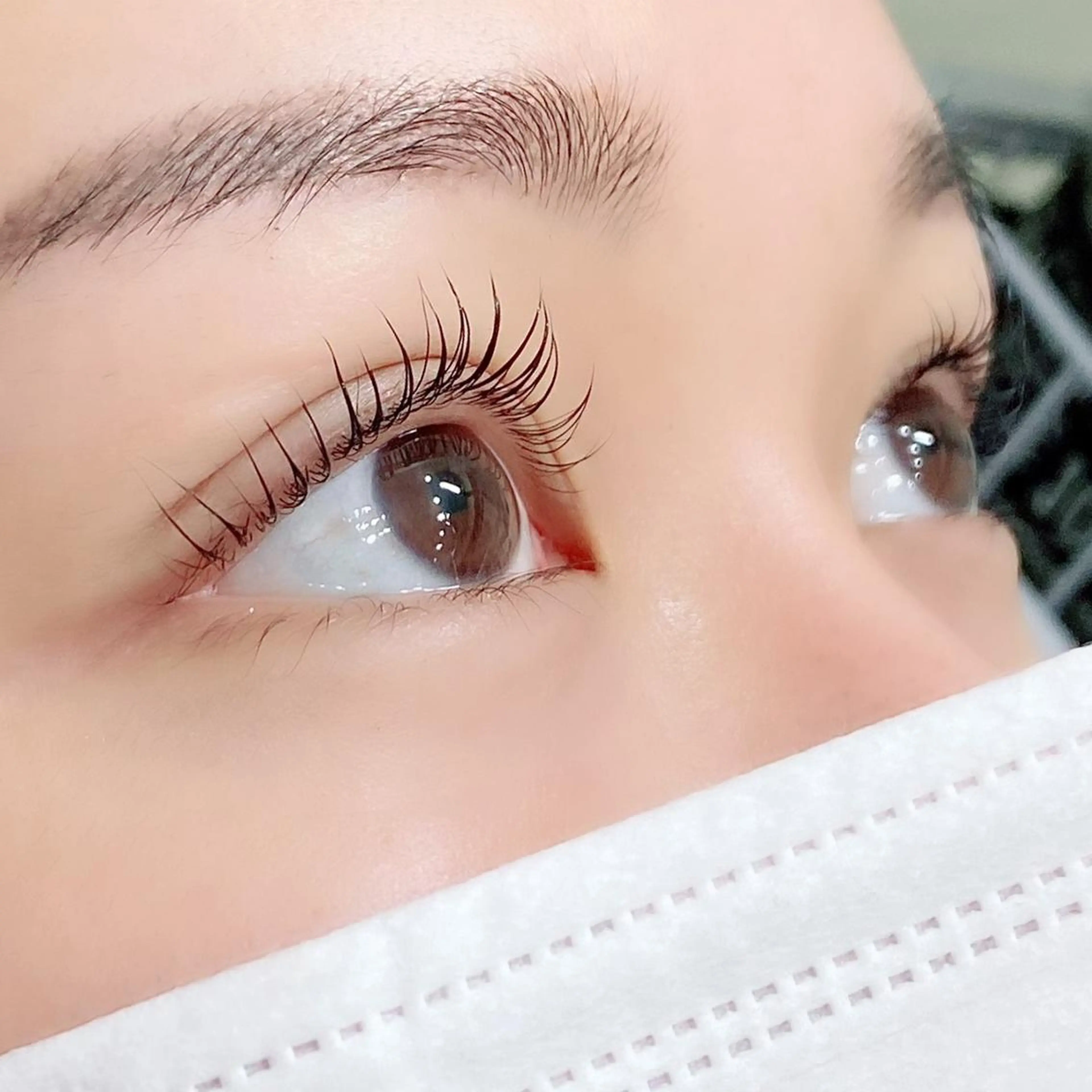 【minimo限定】セーブルエクステ100本(付け足しOK)の写真