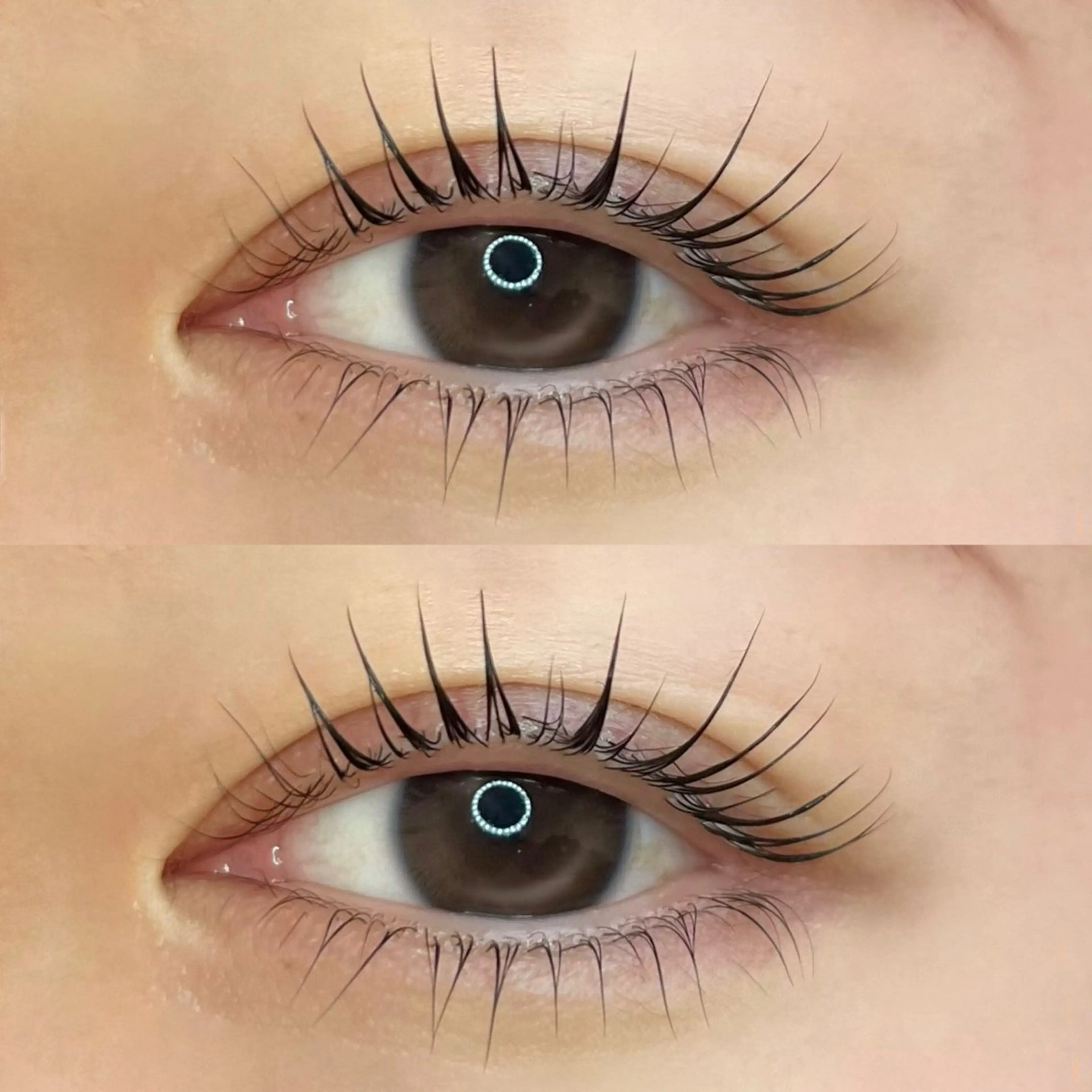 🎀上下パリジェンヌラッシュリフト🎀TR付きの写真