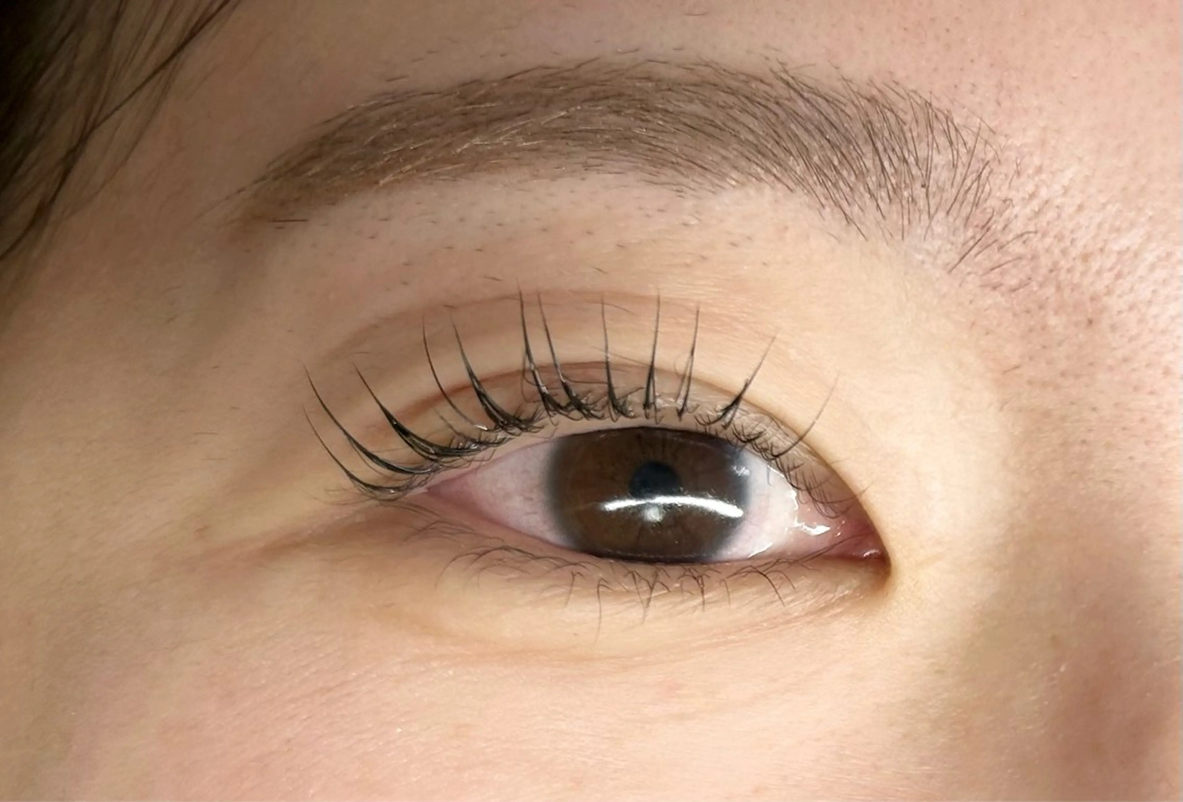 マツエク・マツパ エクラドゥボヌール所属・エクラドゥボヌール sakuraiのマツエク・マツパデザイン