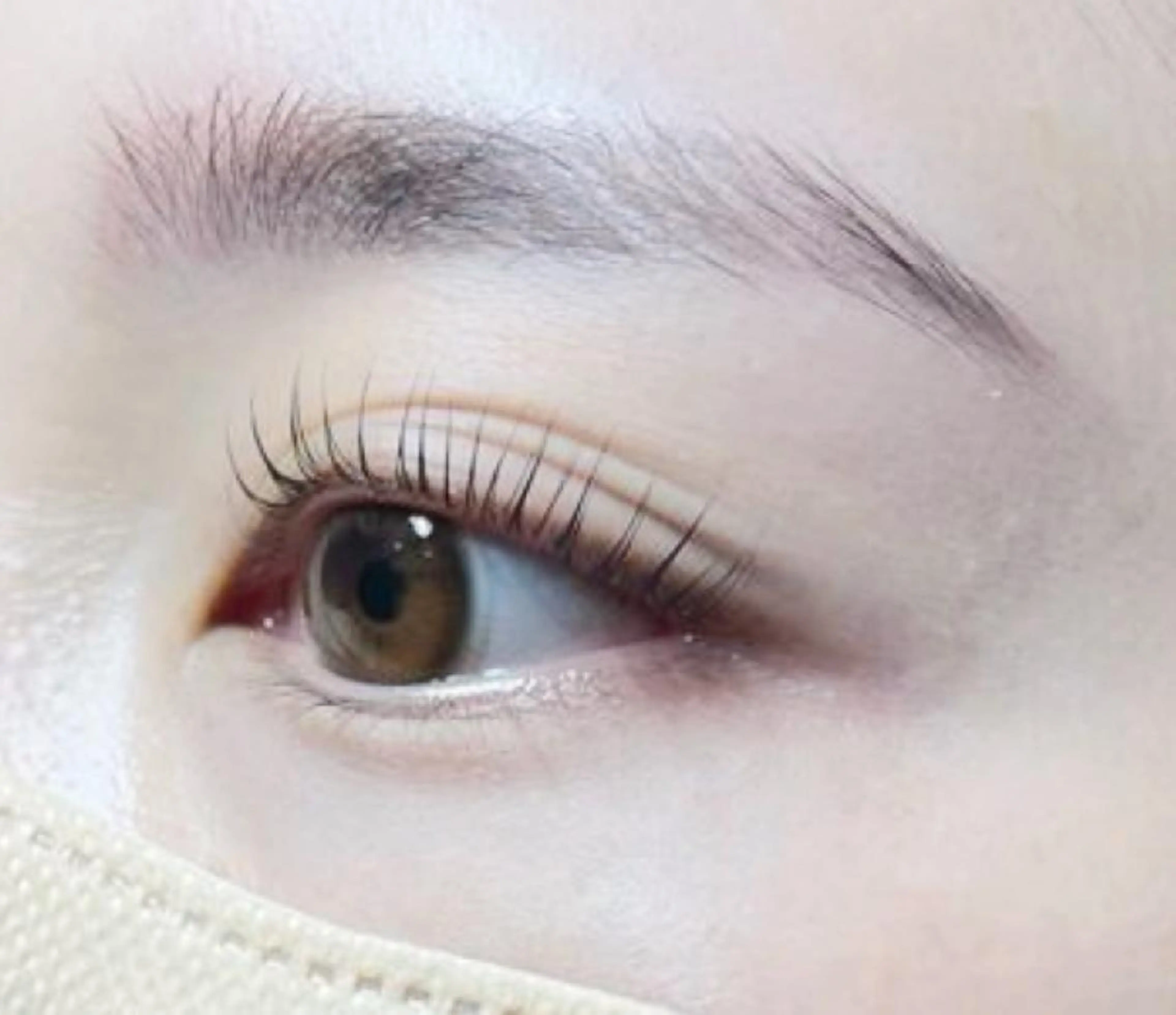 上まつ毛ラッシュリフト+下まつ毛40本までつけ放題💓の写真