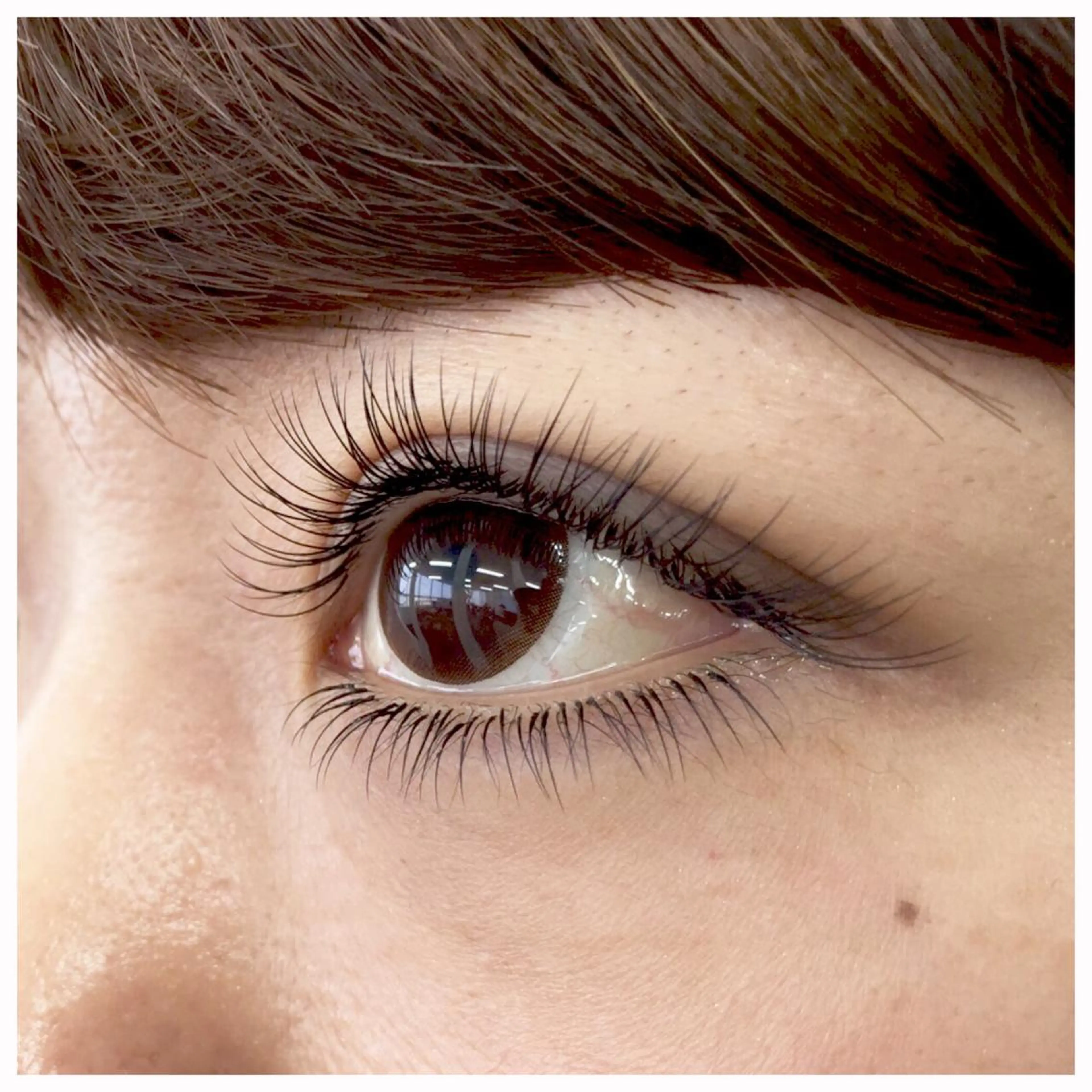 マツエク・マツパ 〜eyelash salon〜    Shapely所属・Shapely シェイプリーのマツエク・マツパデザイン