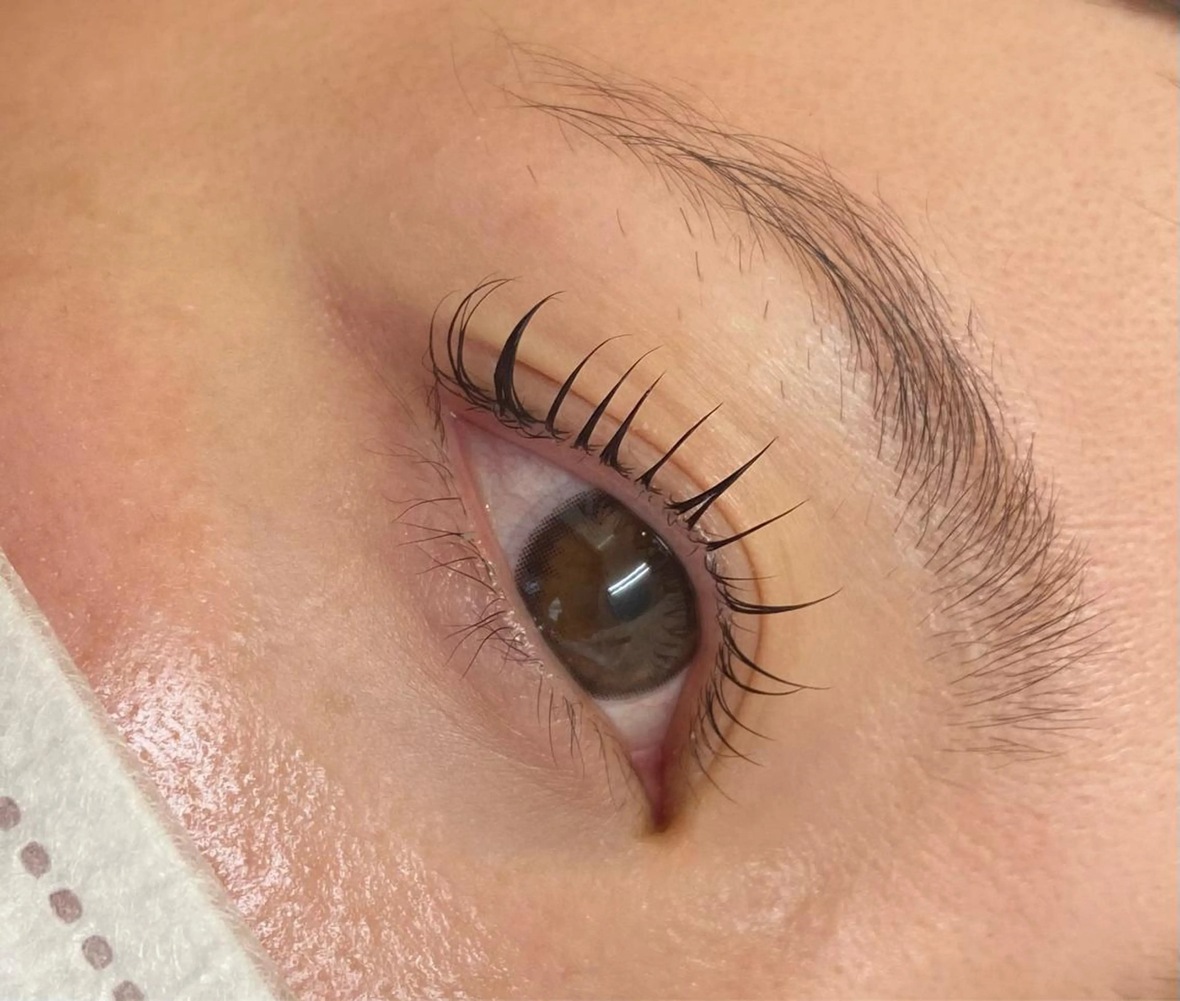 ❤︎12月限定❤︎まつげパーマ仕上げコーティング付🧚♀️🤍の写真