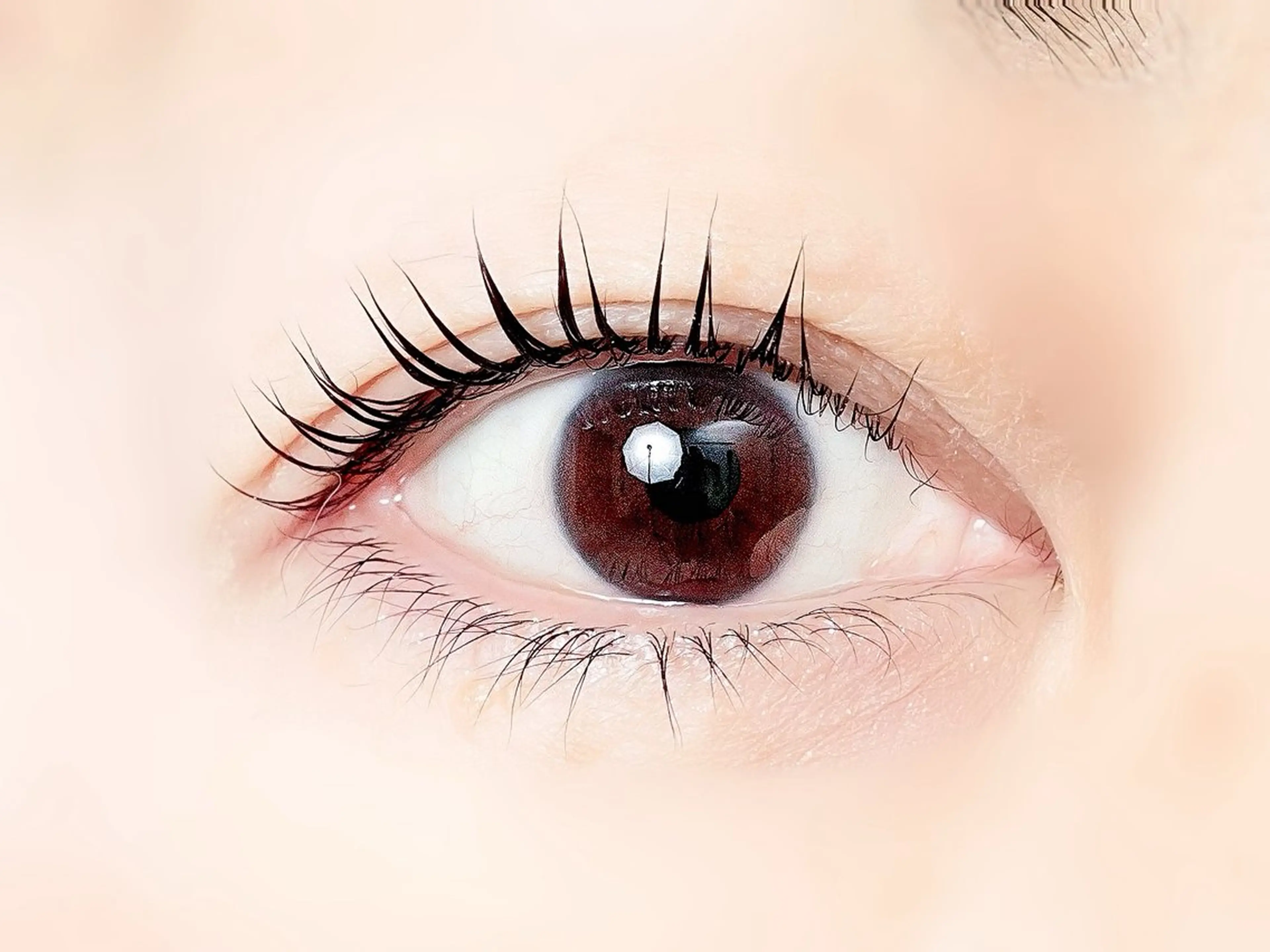 リピーター⭐️ラッシュリフト(パリジェンヌに変更+500円)+ケラチントリートメントの写真