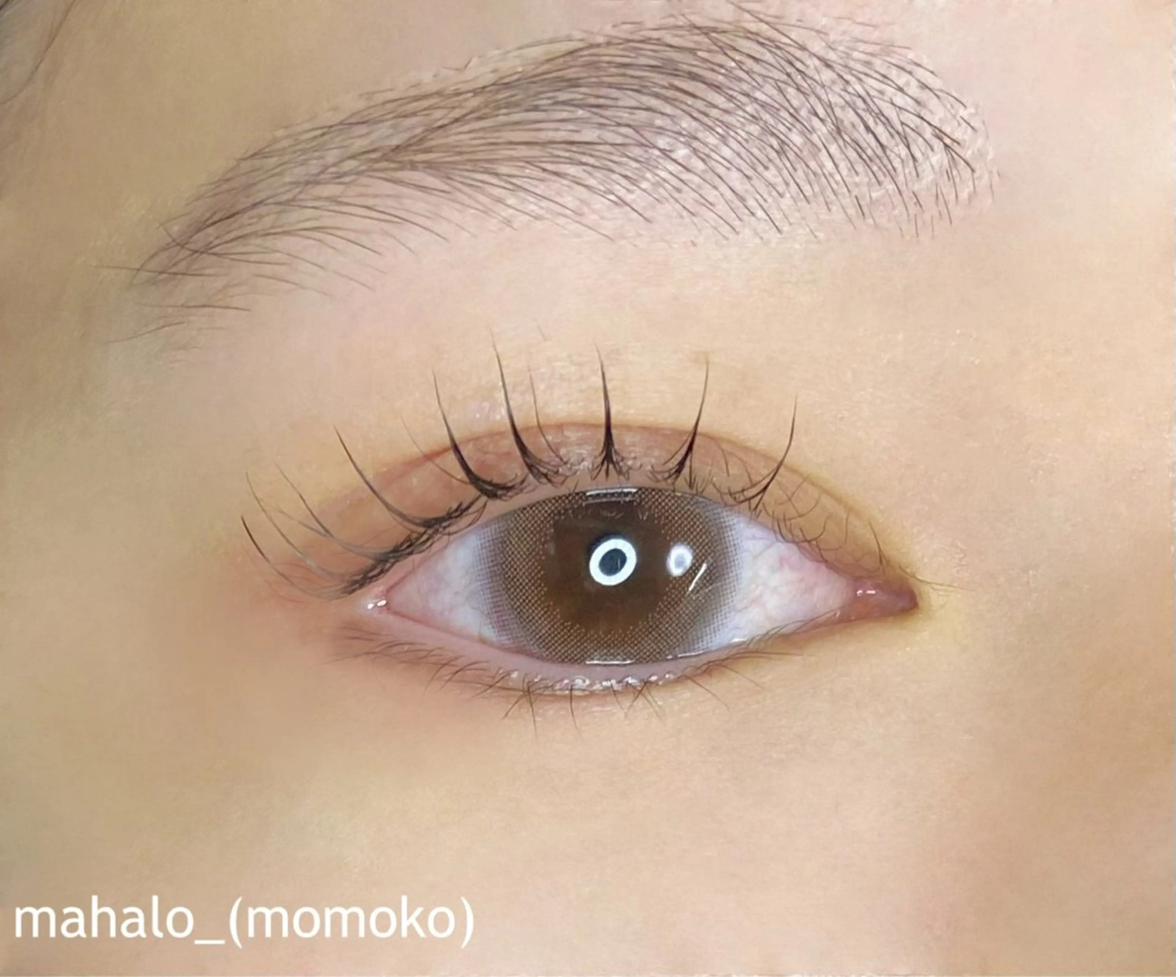 マツエク・マツパ 束感まつ毛 mahalo / momokoのマツエク・マツパデザイン