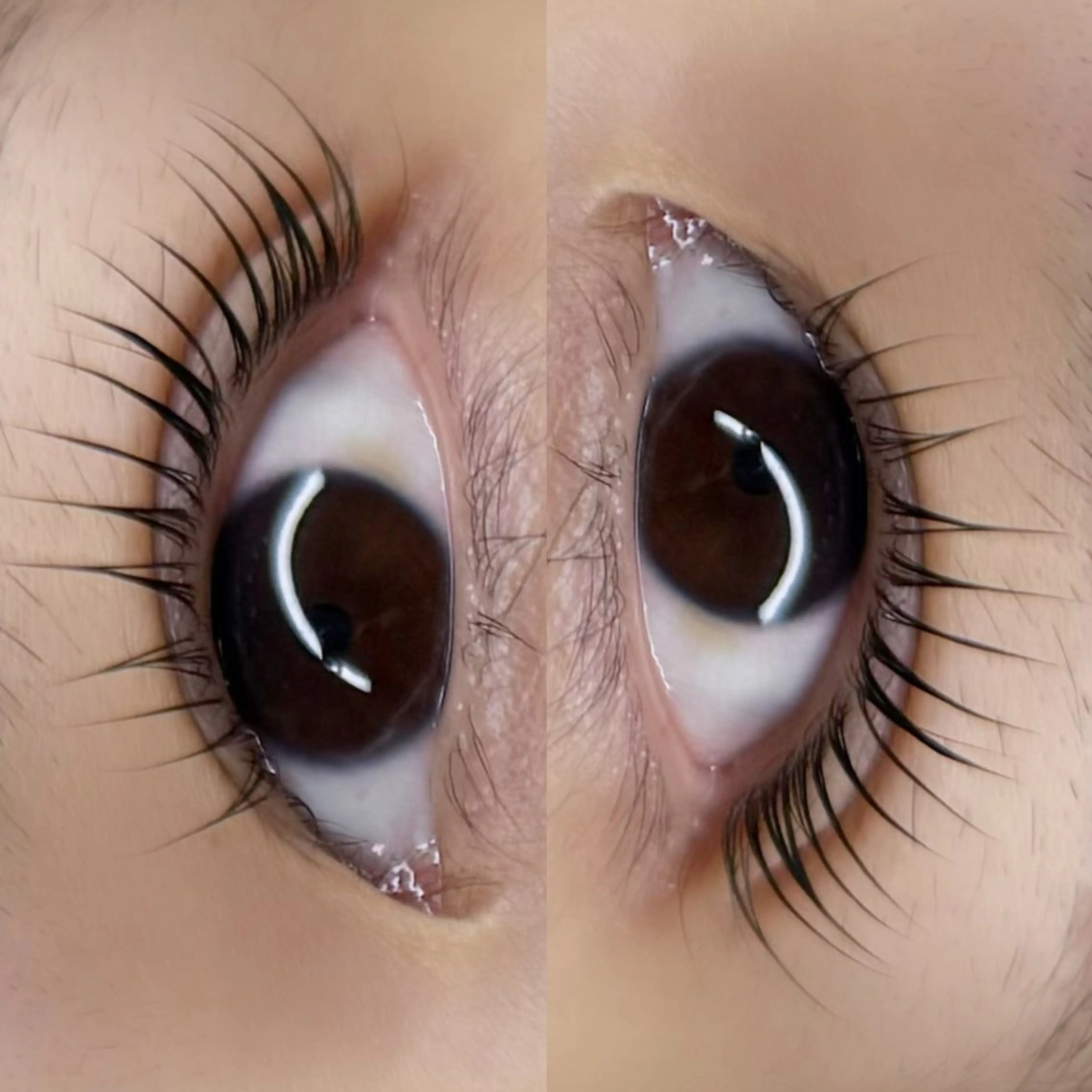 マツエク・マツパ VIAS CANACOのマツエク・マツパデザイン