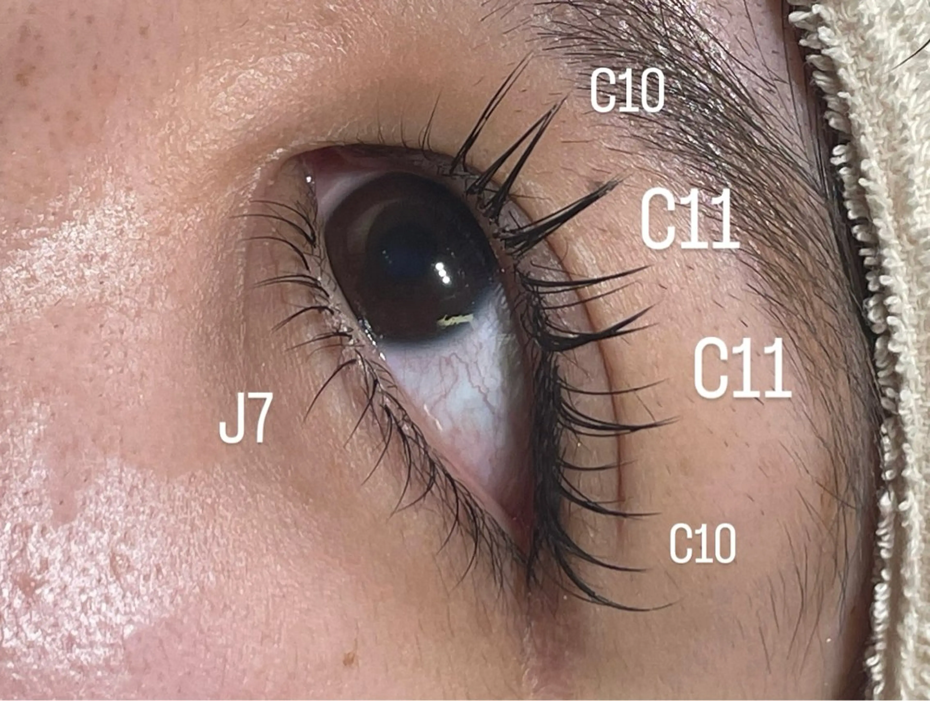 マツエク・マツパ 🍀MAQUIA 新札幌店　吉田真桜のマツエク・マツパデザイン