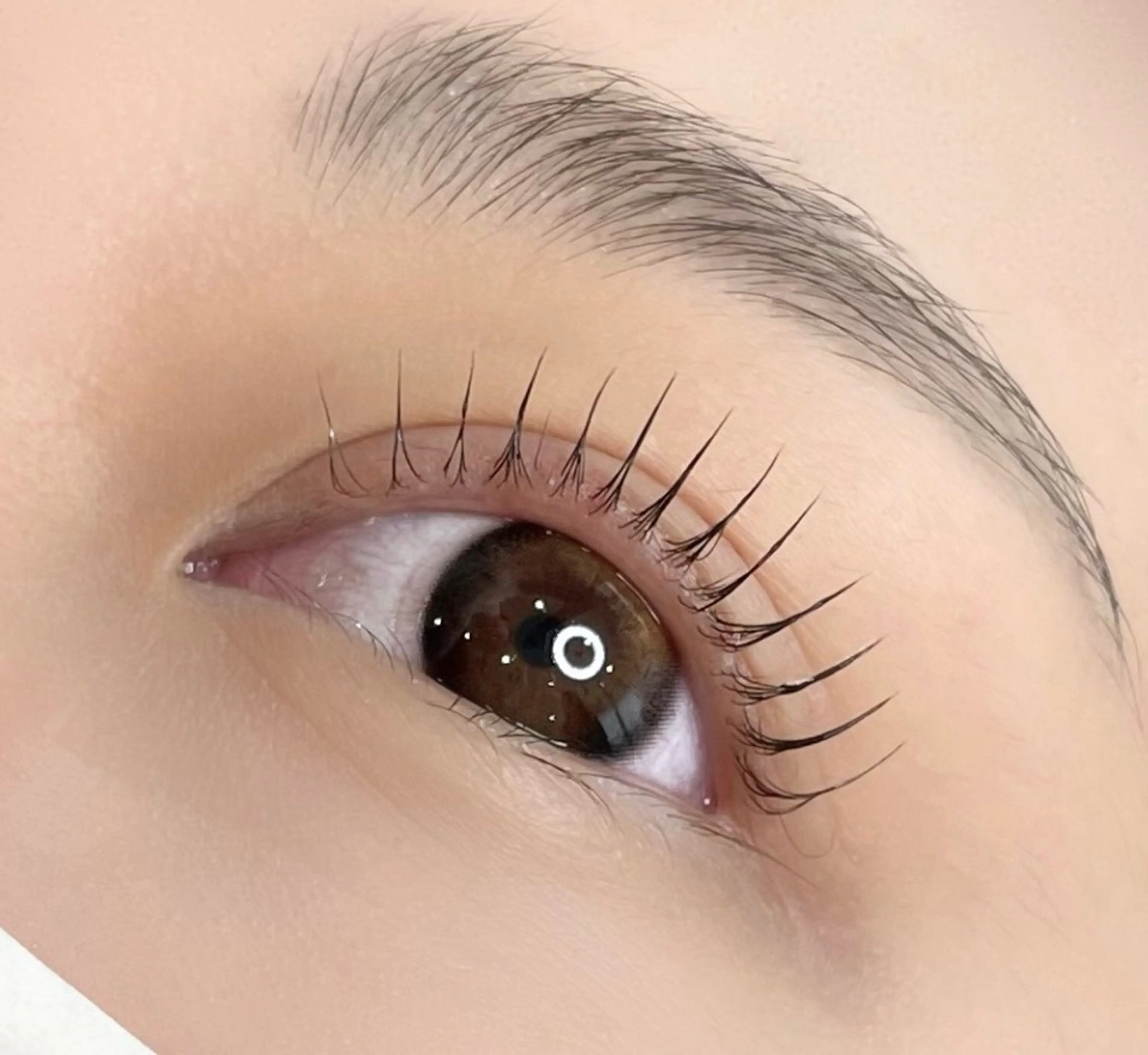 マツエク・マツパ Serapia 【セラピア】のマツエク・マツパデザイン