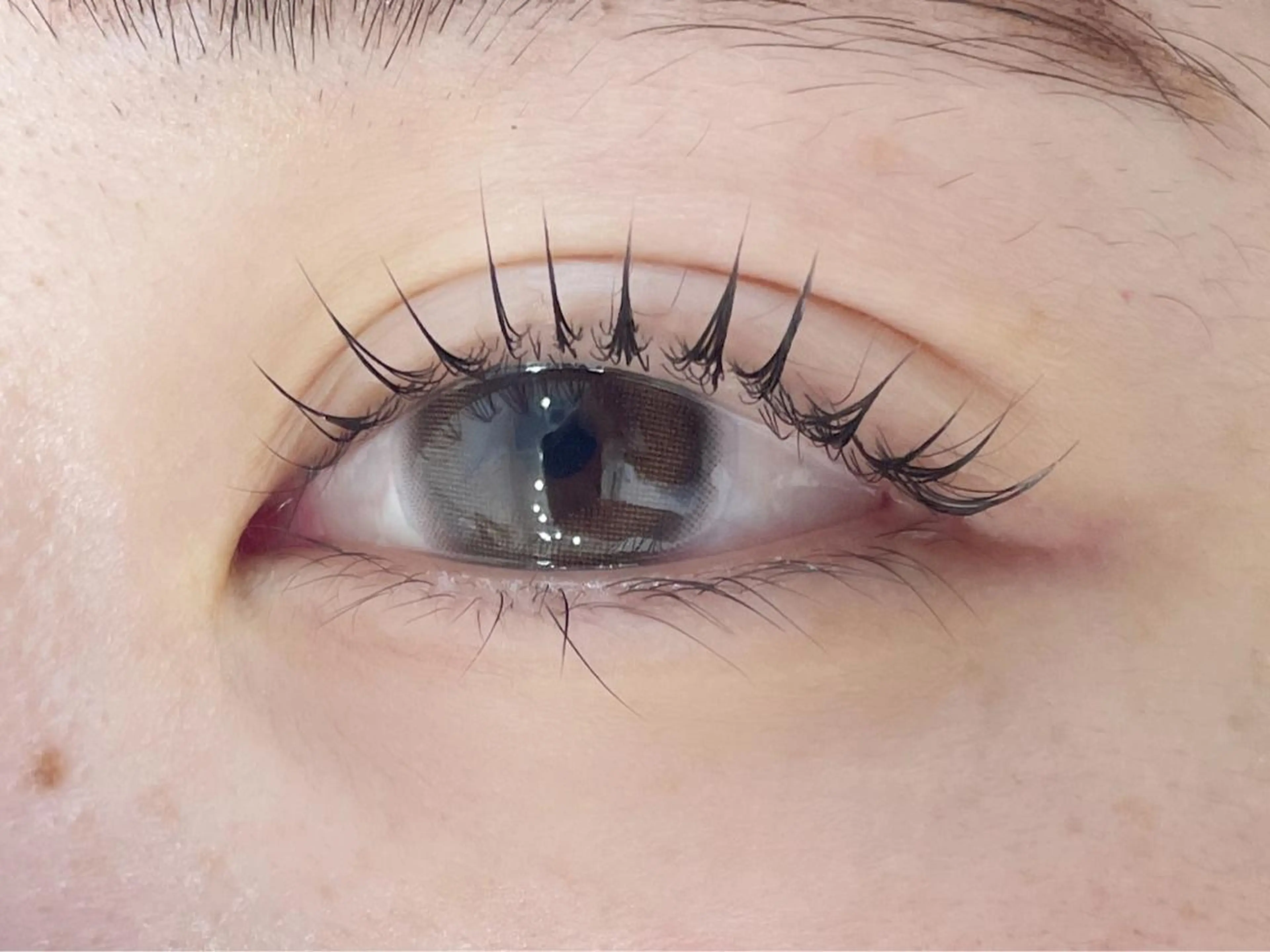 マツエク・マツパ Lien 川崎店【リアン】所属・LUANATOKYO 🫧武蔵小杉のマツエク・マツパデザイン