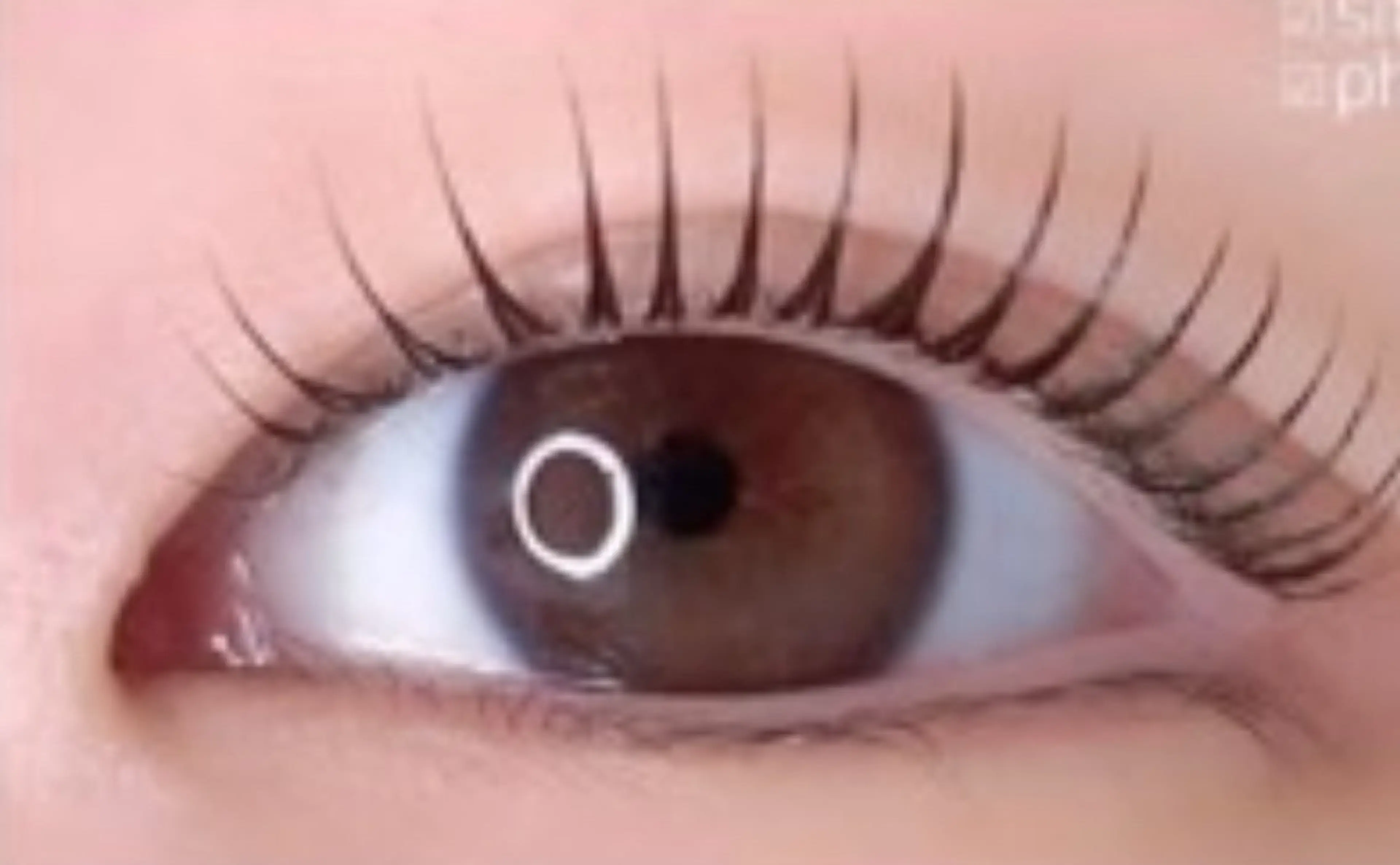 🎀ミミドール🎀〈立ち上げ×カール〉￥3,280オフ込の写真