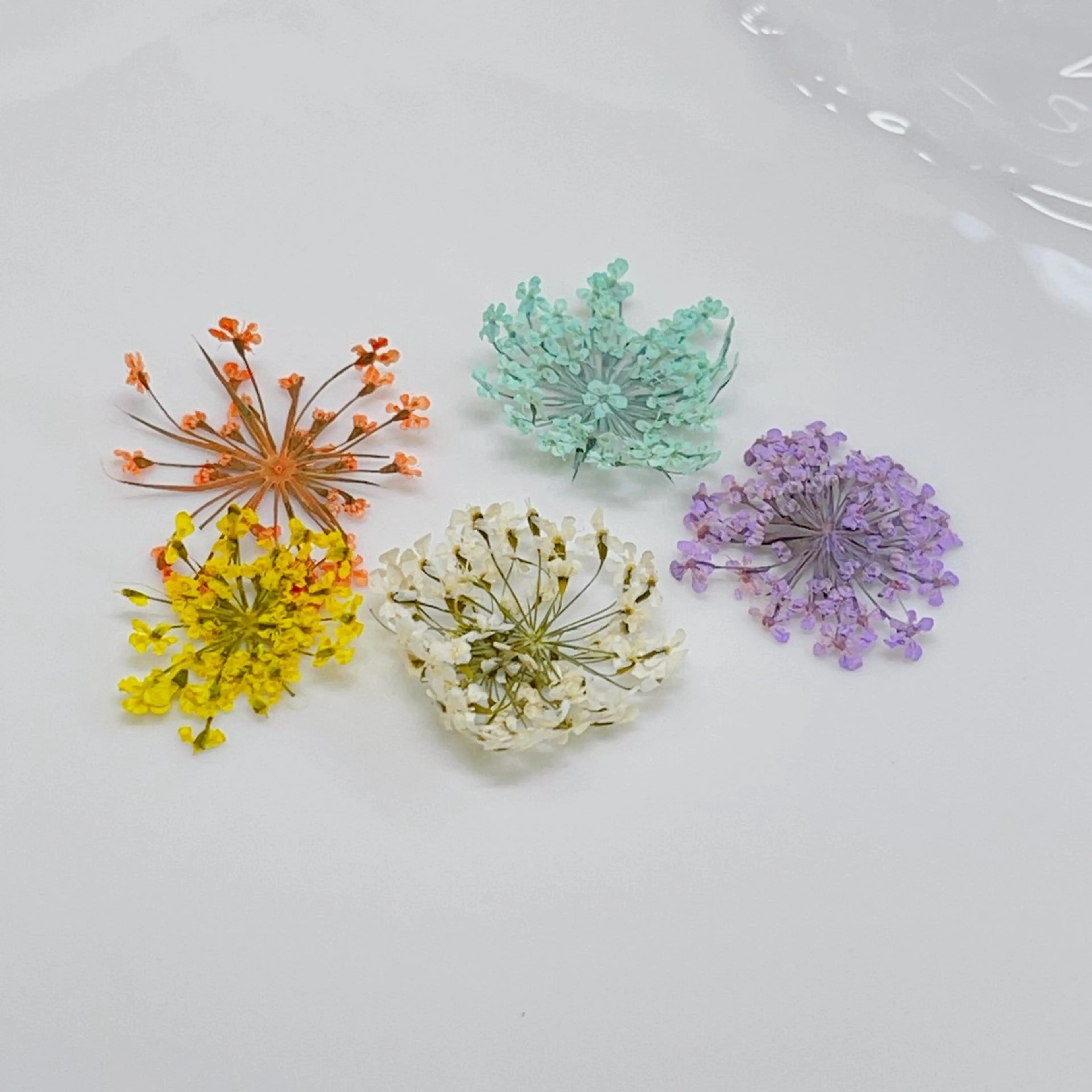 ネイル Nail salon CELEBRAILのネイルデザイン