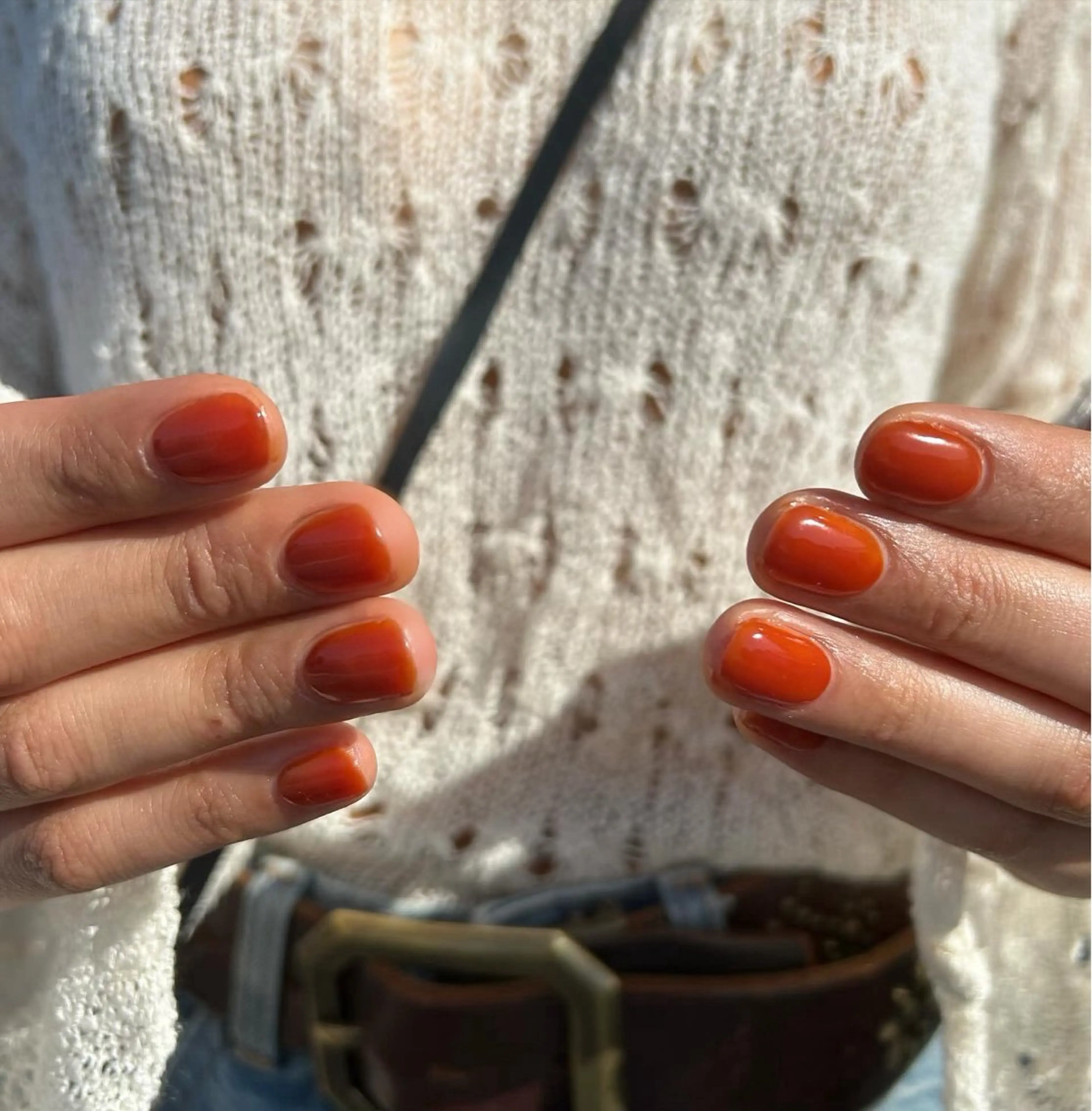 ワンカラーの写真