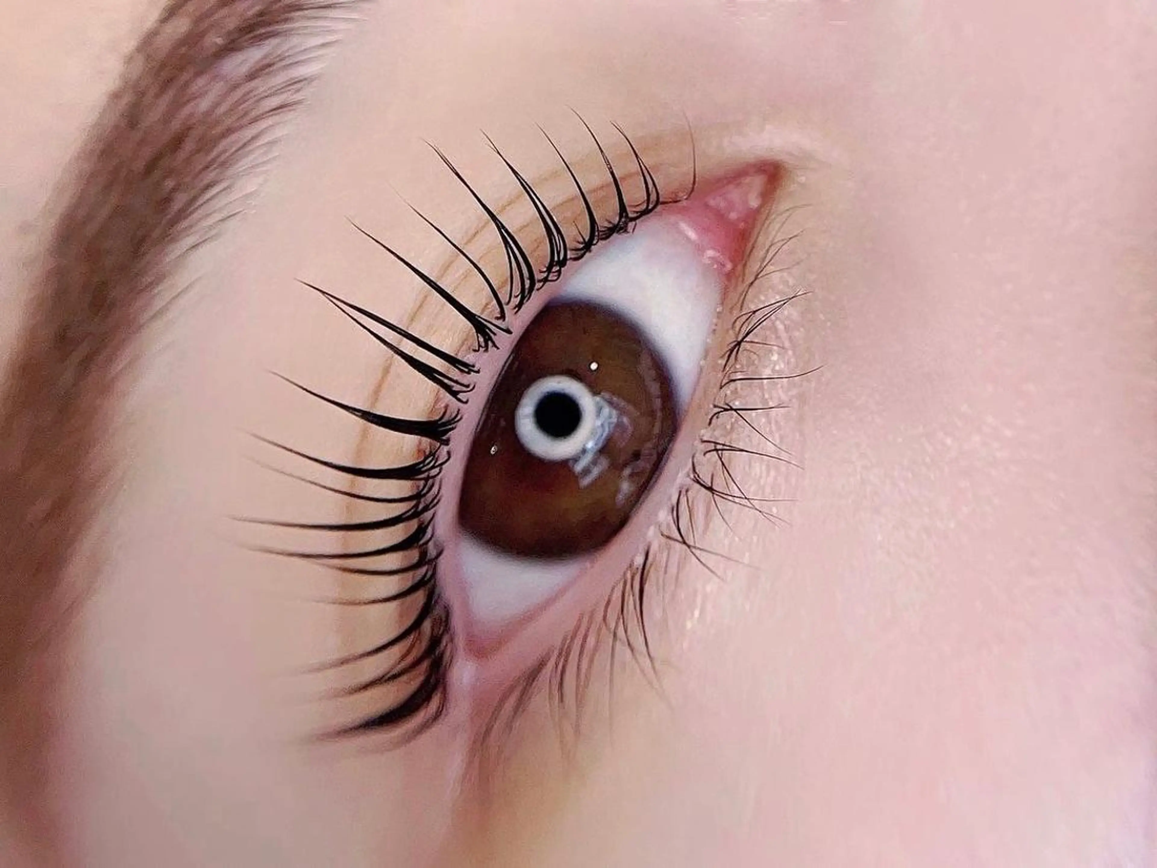 マツエク・マツパ パリジェンヌラッシュリフト マツパ sofa￤束感まつ毛 Rena🏹のマツエク・マツパデザイン