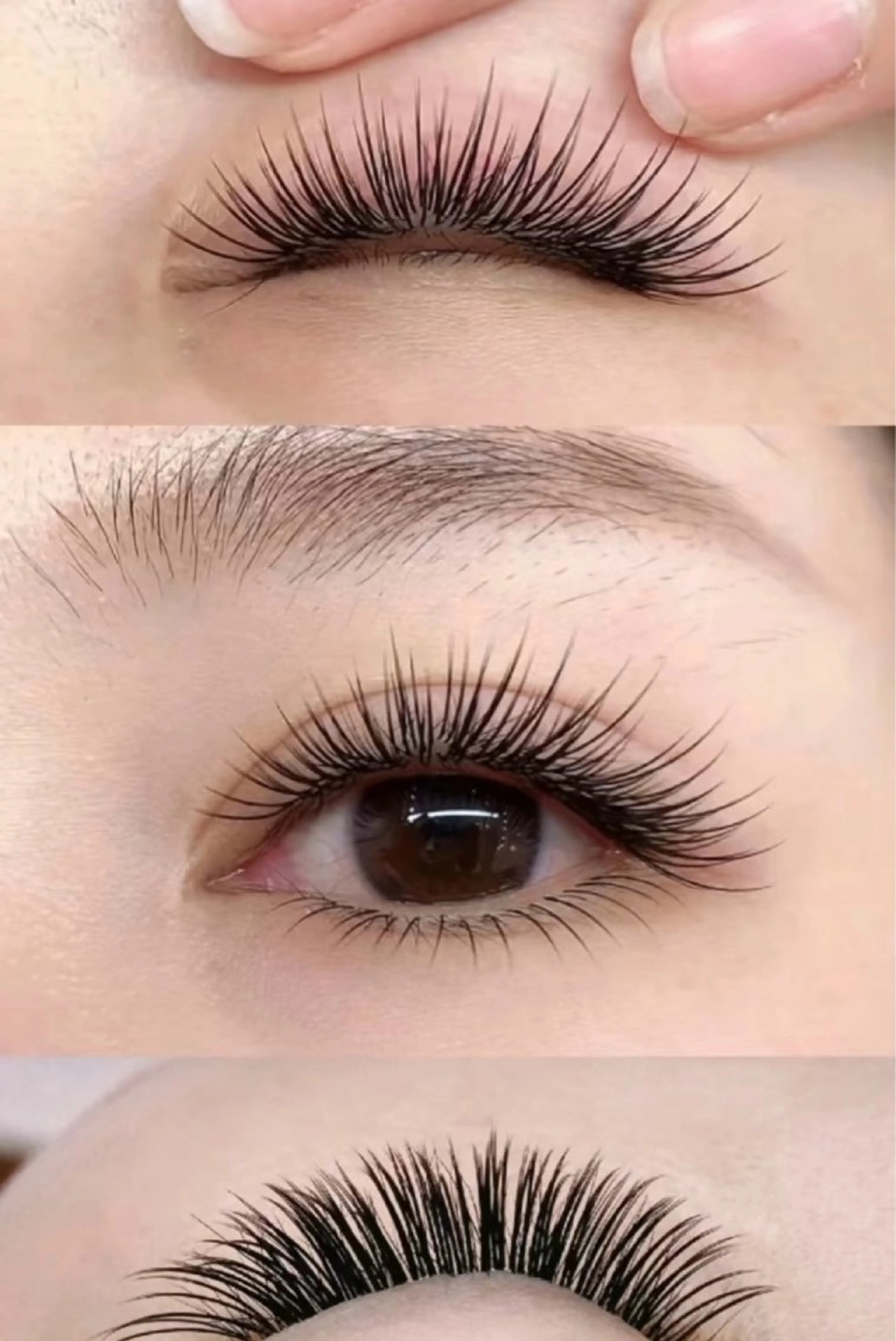 ⭐️ ボリュームラッシュ【オフ無料♪】100束（3D.5D) (Y型)(四葉)➕20本サービス🩷🫧ミニモ限定の写真