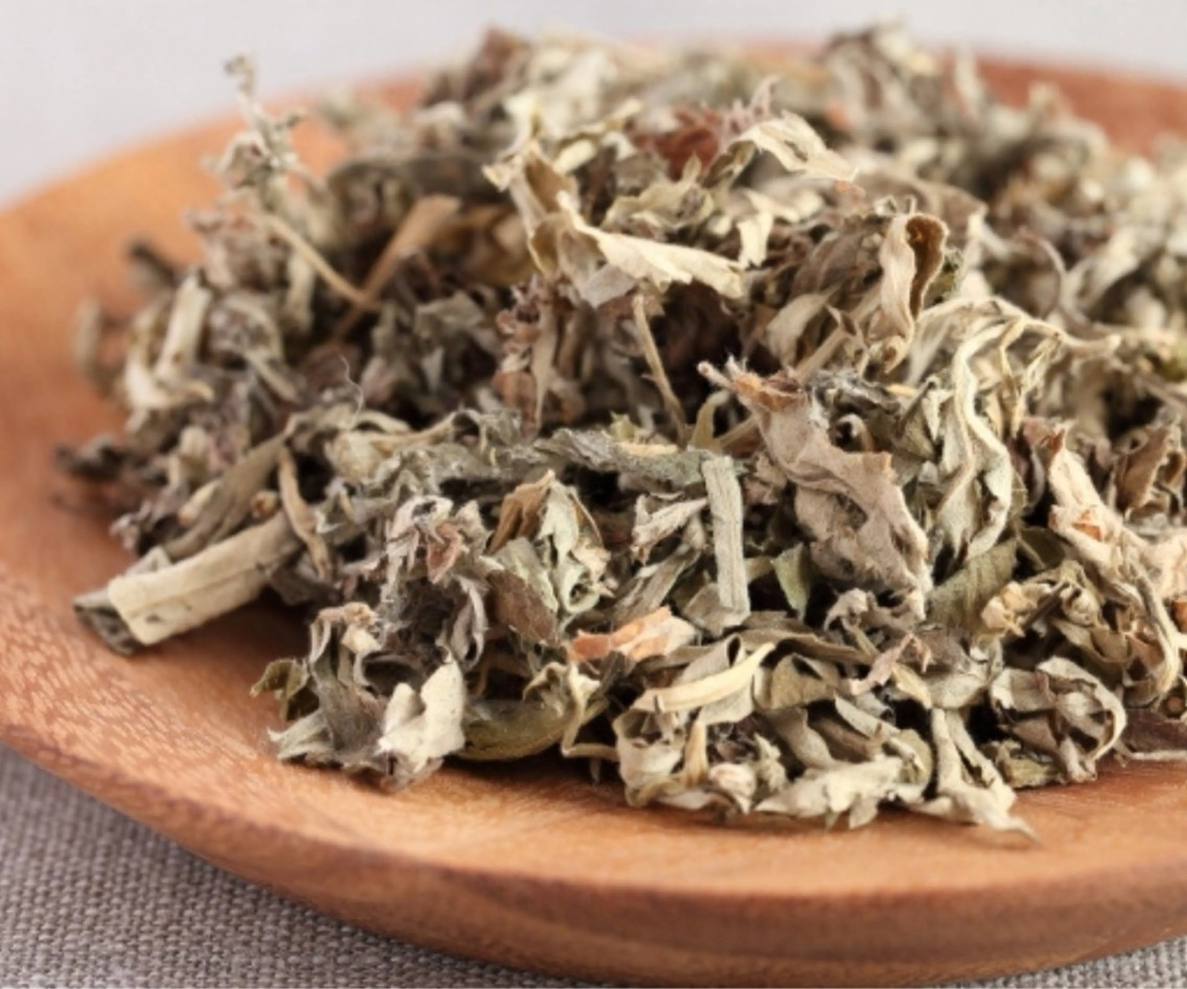 無添加よもぎ蒸し 40分の写真