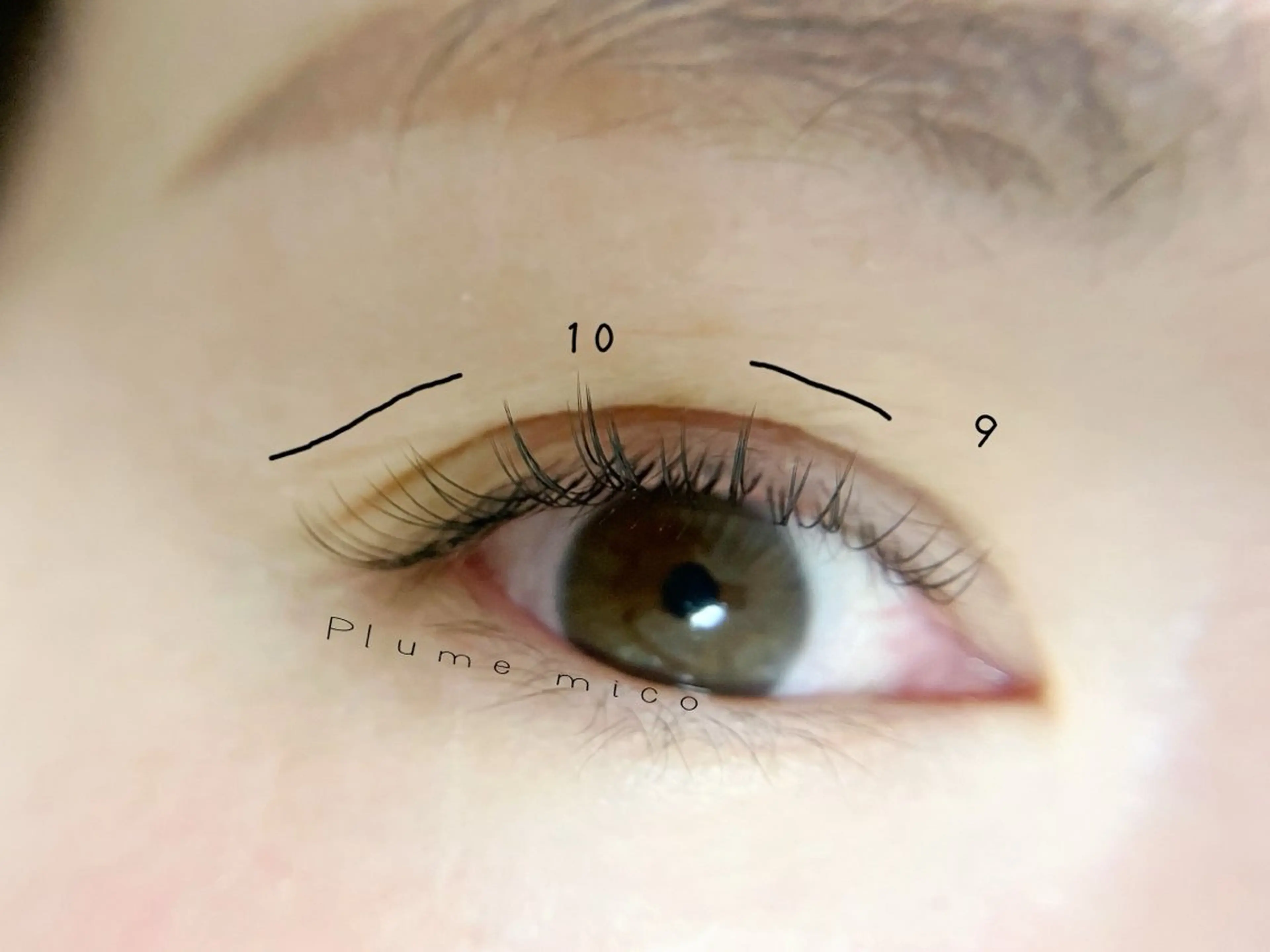 マツエク・マツパ マツエク Plume micoのマツエク・マツパデザイン