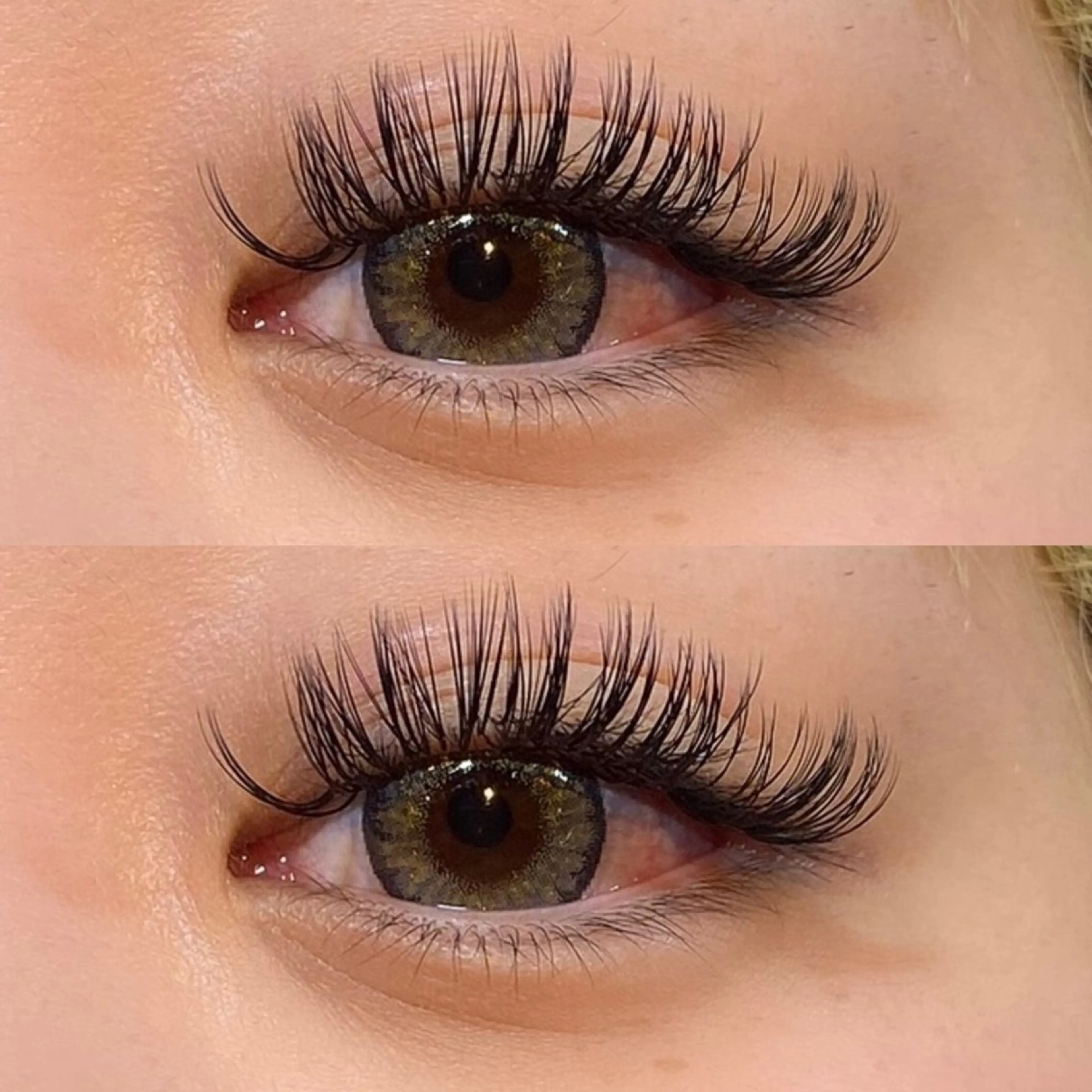 バインドロック140​〜​160束の写真