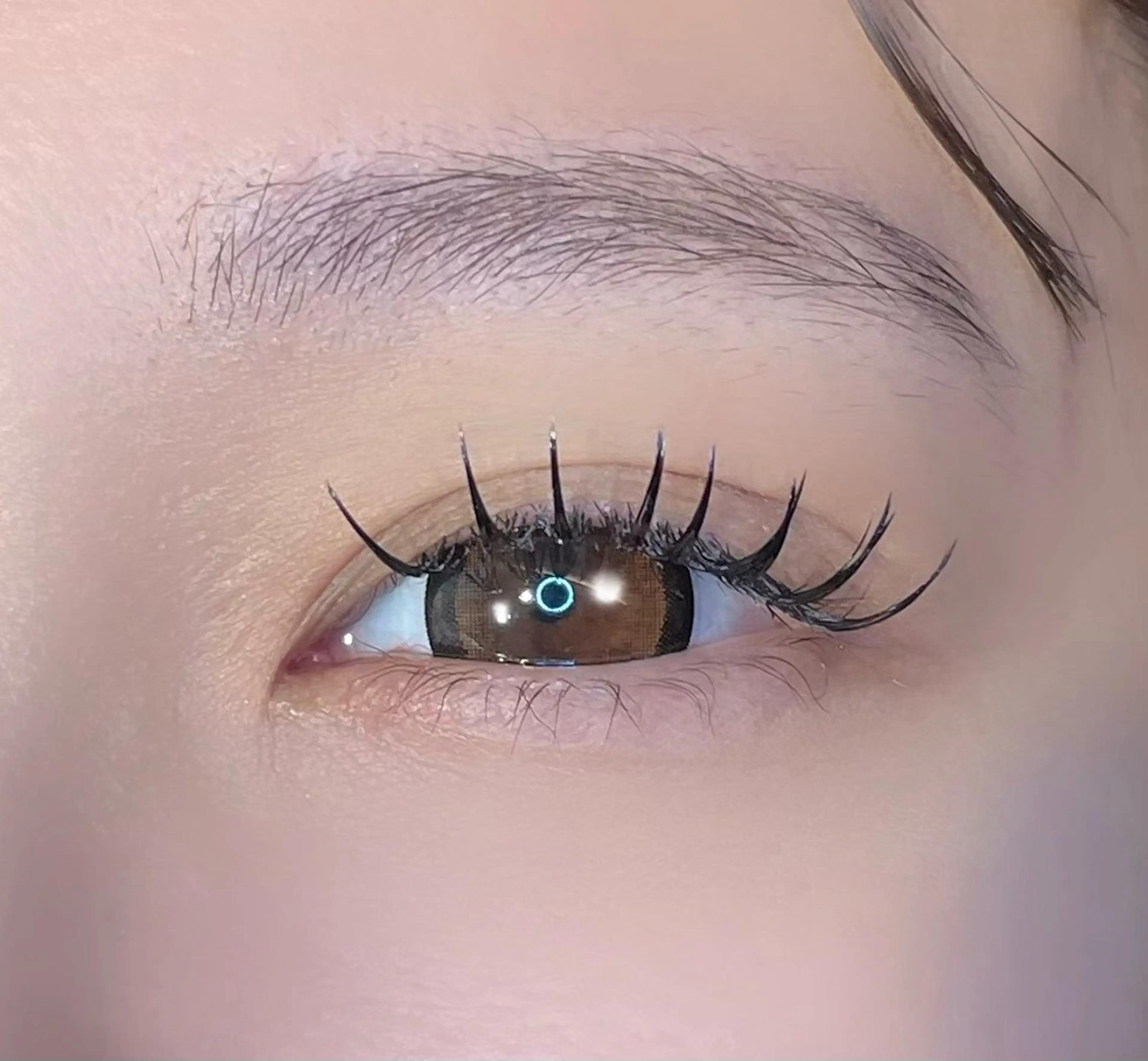 マツエク・マツパ マツエク まつパ/マツエク🤎 艶カラー/ゆり♡⃛のマツエク・マツパデザイン