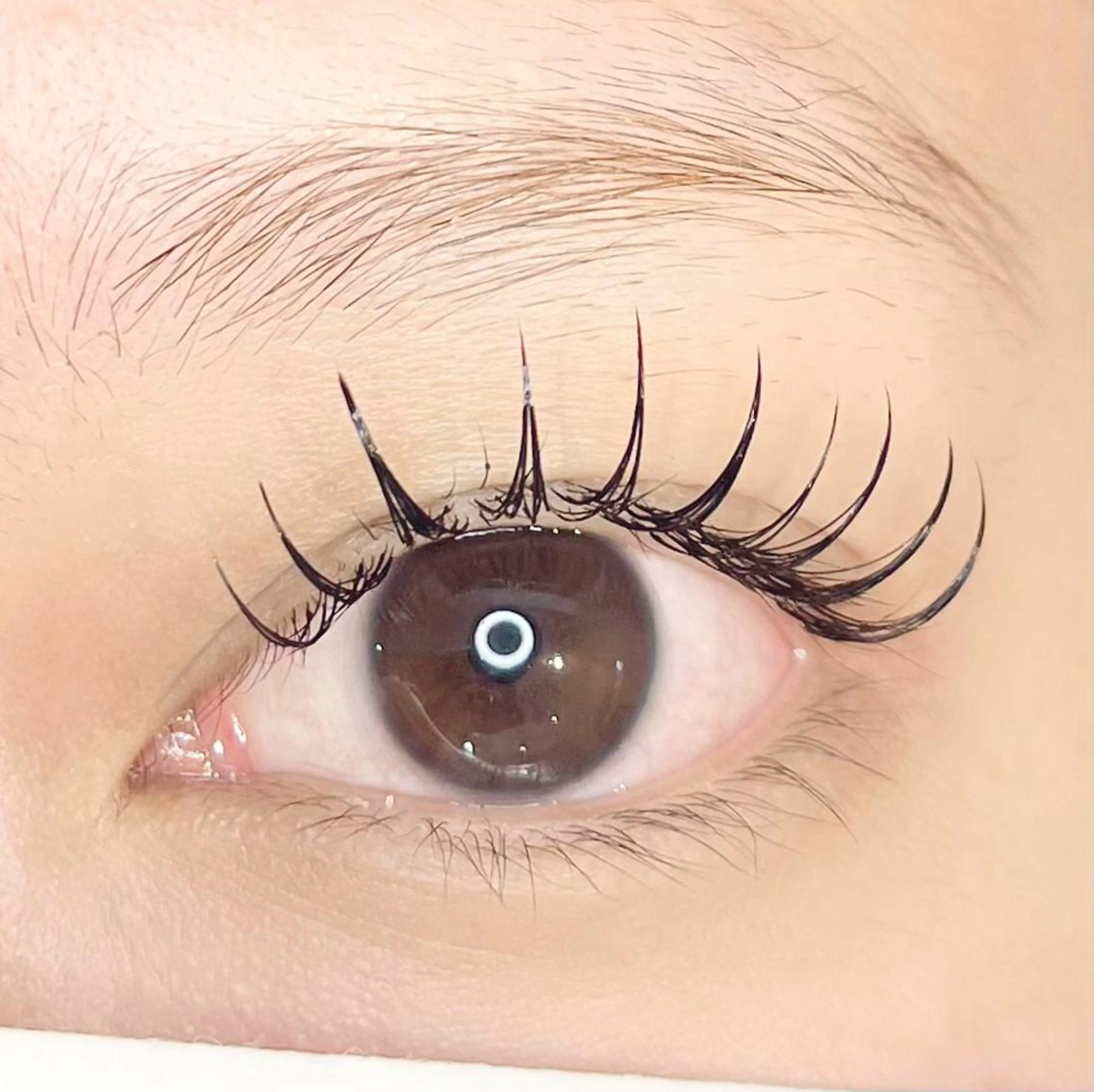 マツエク・マツパ 束感まつ毛 フラットラッシュ 韓国風マツエク 堀内 優衣💗パリジェンヌのマツエク・マツパデザイン