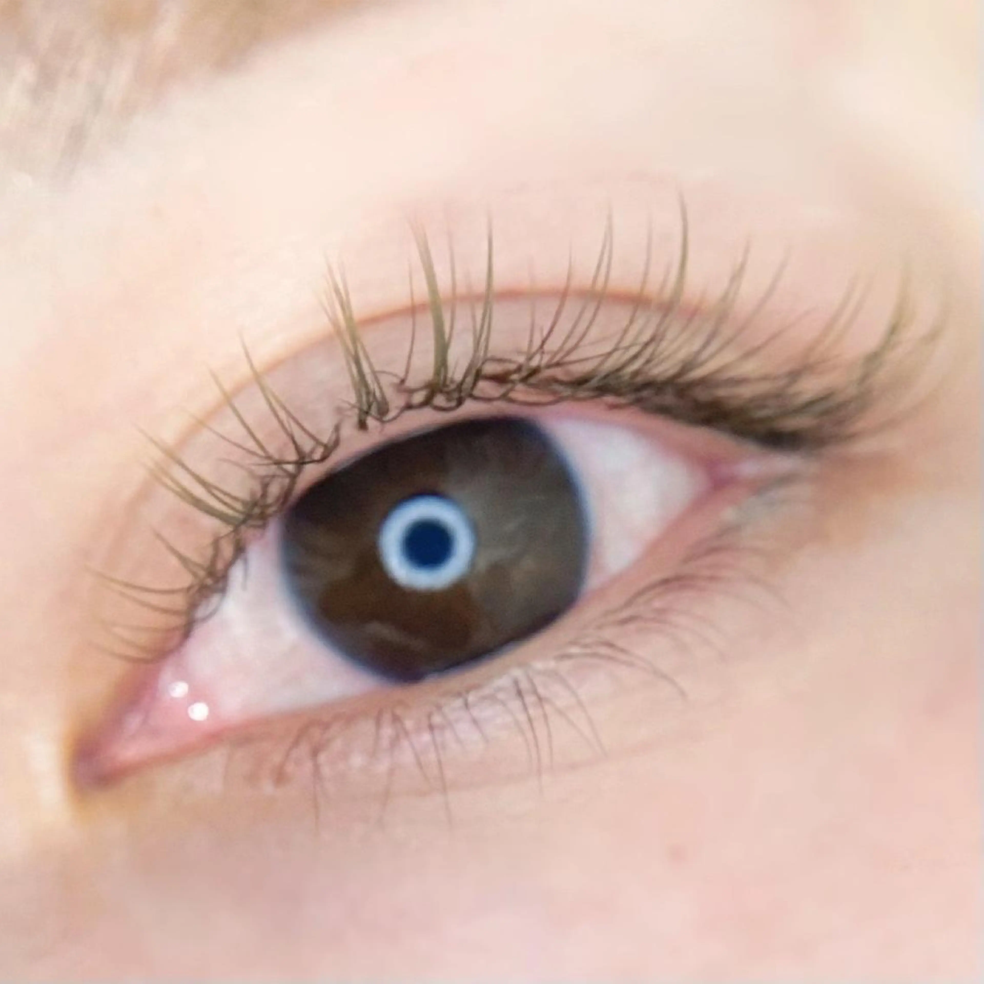 マツエク・マツパ Lignal.所属・Lignal. miyuの眉毛・アイブロウイメージ