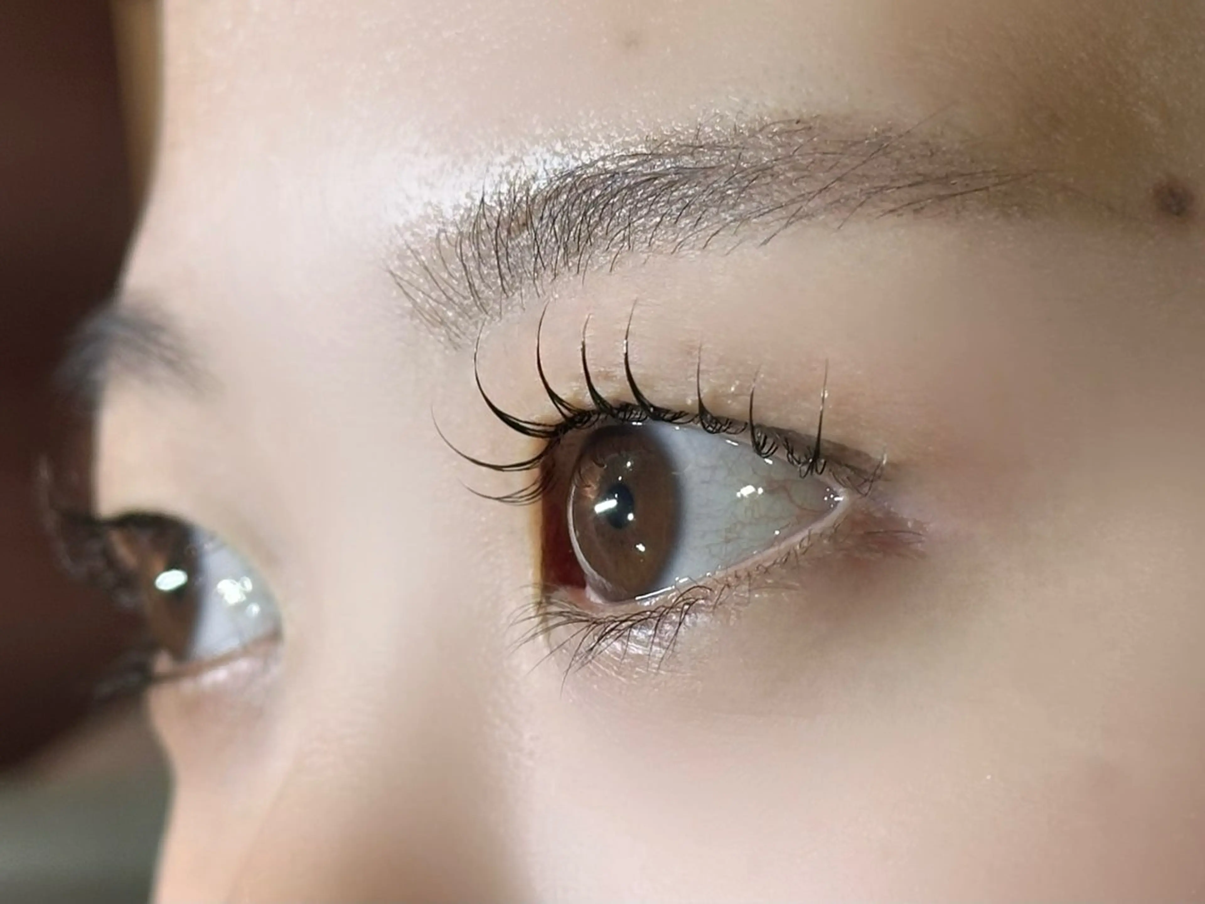 マツエク・マツパ アイラッシュアイブロウサロン MEPP所属・【MEPP】たにわき ゆうなの眉毛・アイブロウイメージ