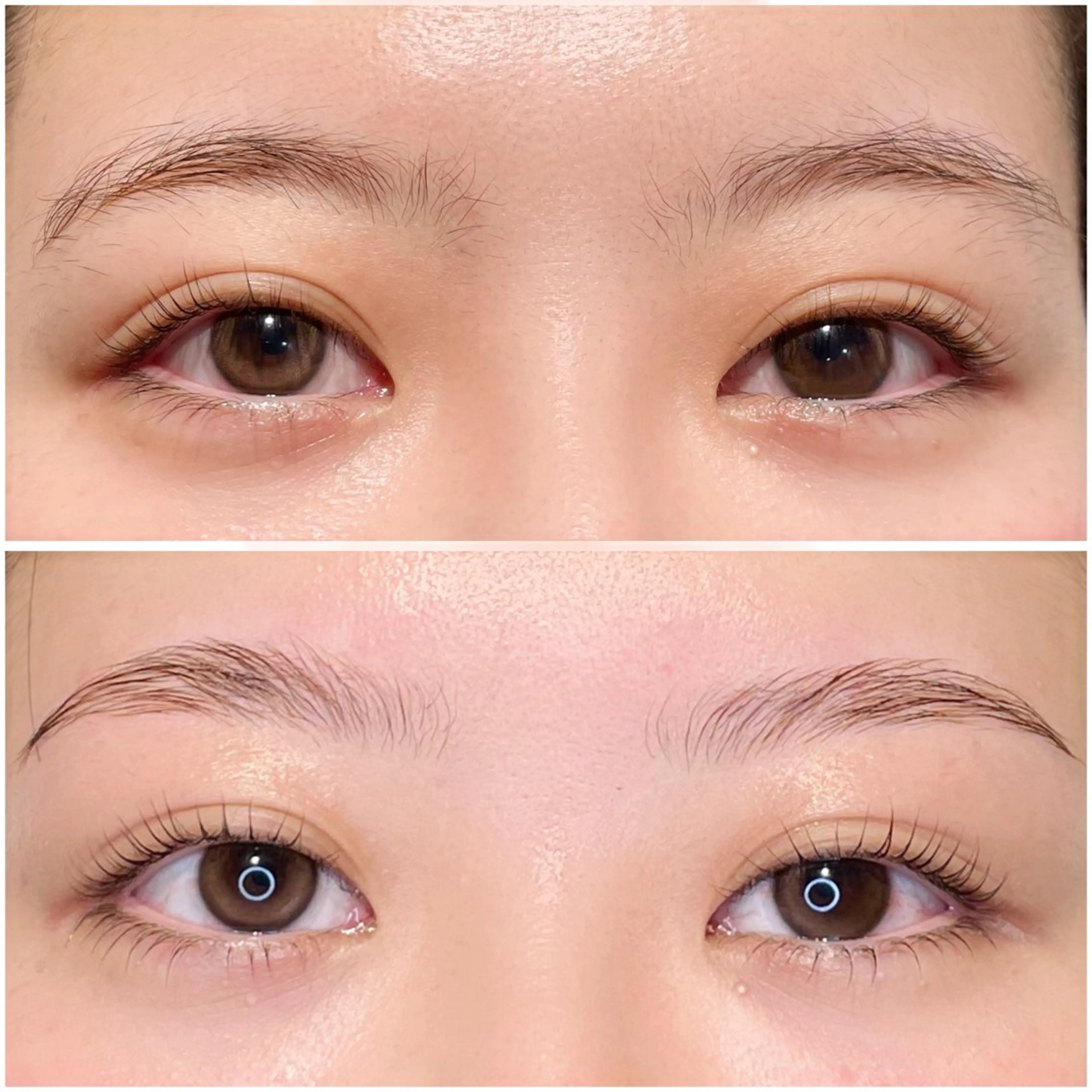 マツエク・マツパ まつげパーマ Dealo京橋店所属・シノ🌿 / Dealo京橋店のマツエク・マツパデザイン