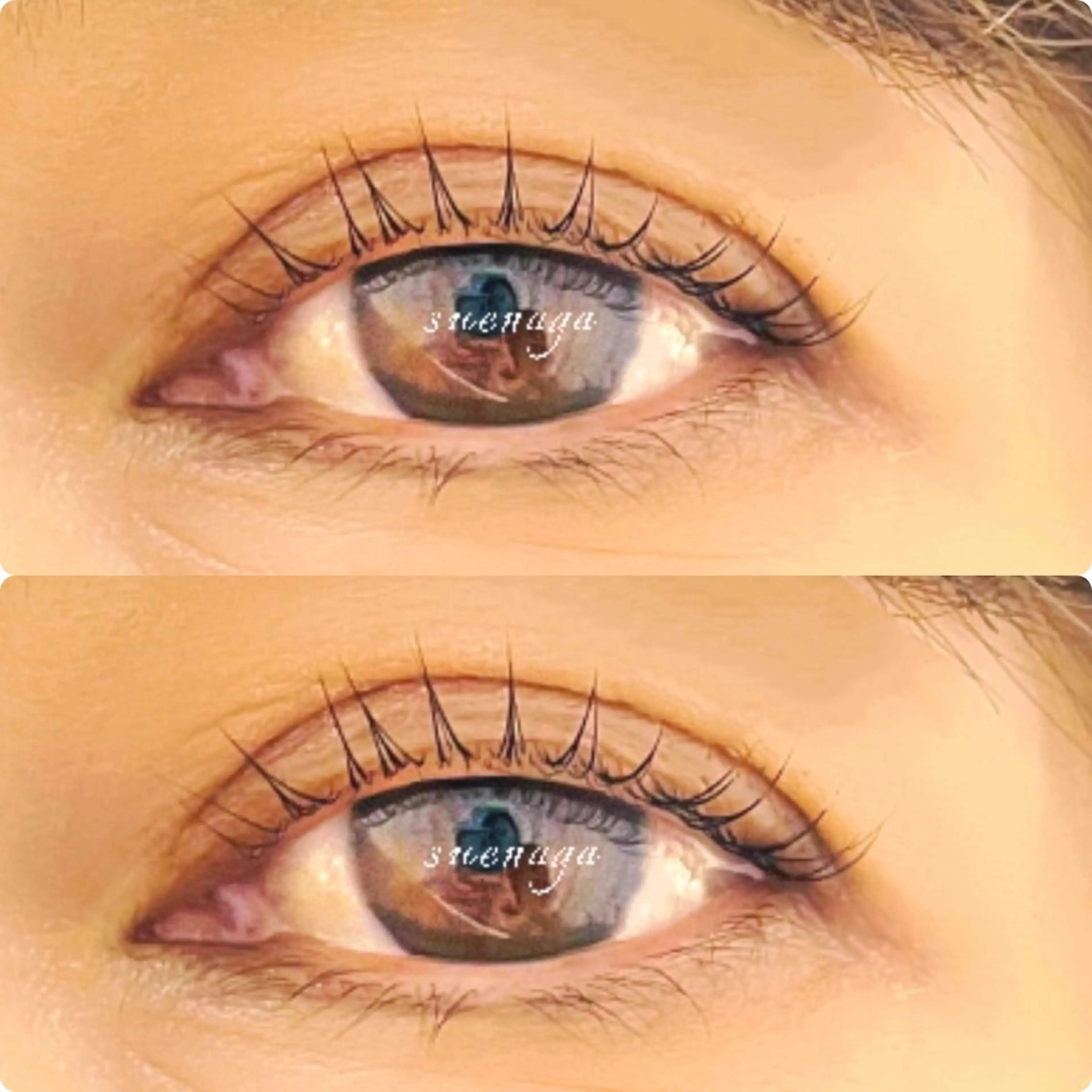 【3回目以降】パリジェンヌラッシュリフトの写真