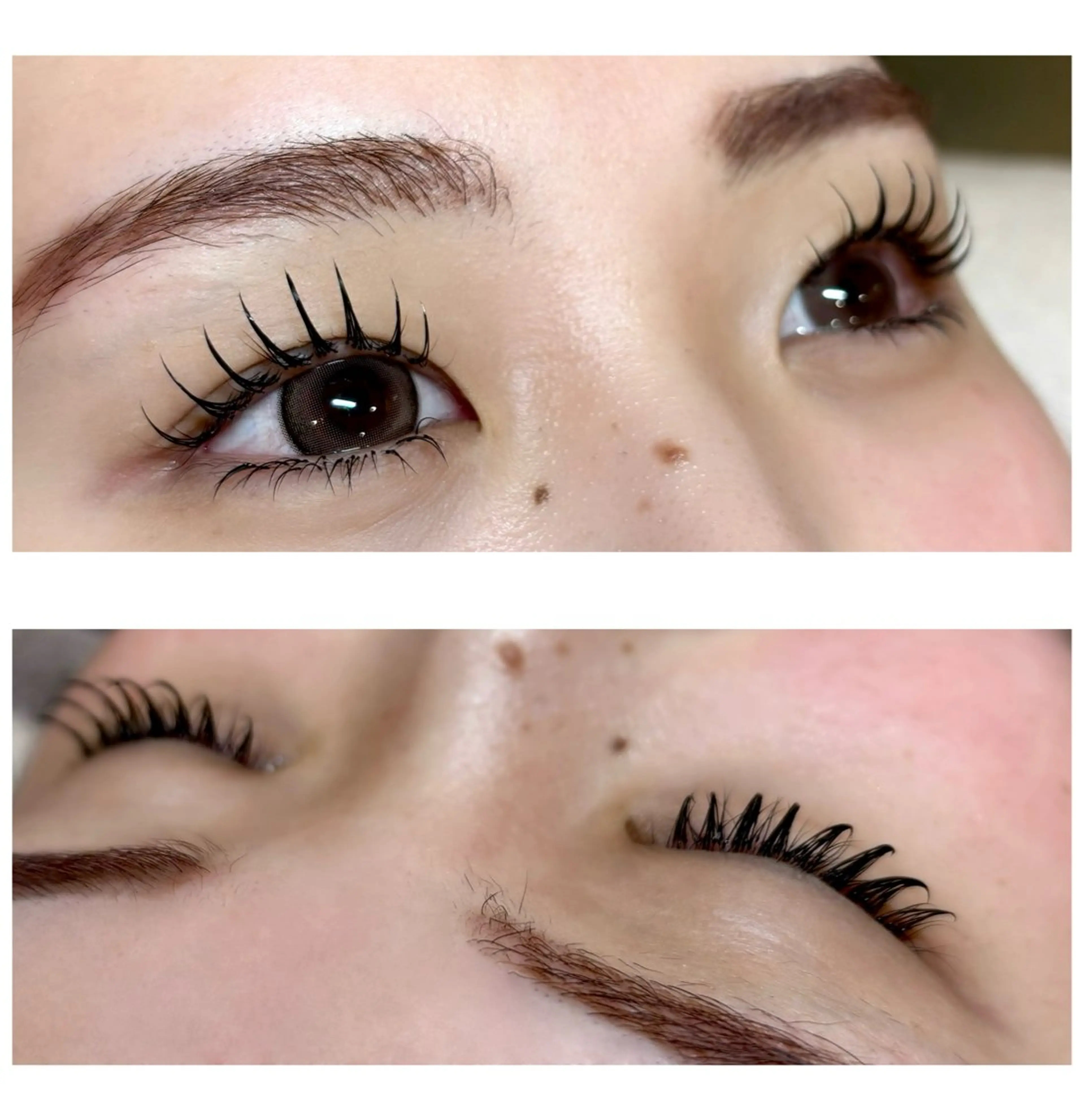 マツエク・マツパ Cカール フラットラッシュ 下まつげエクステ Yamada Marikoのマツエク・マツパデザイン