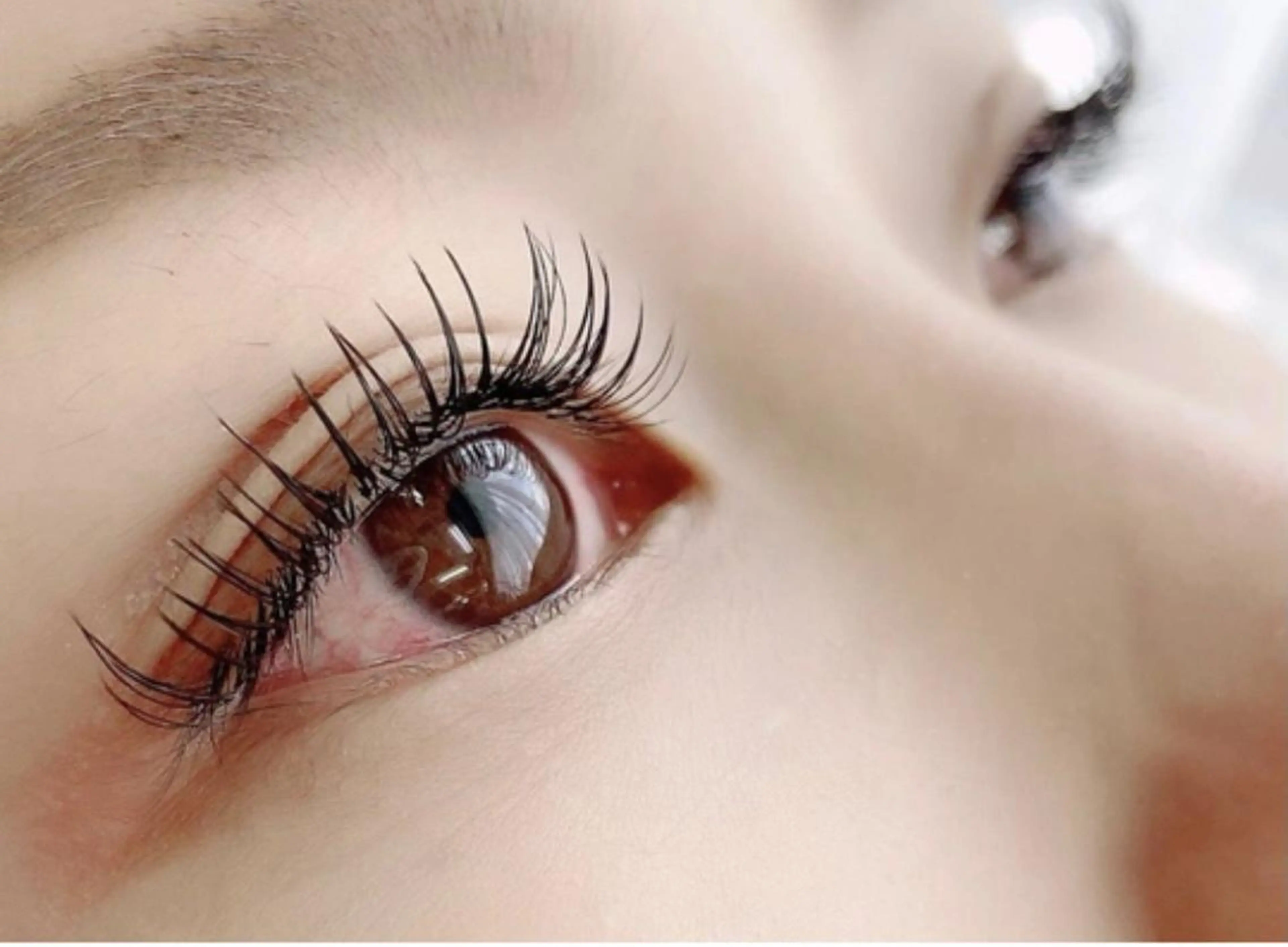 🤍フラットラッシュ100本🤍の写真