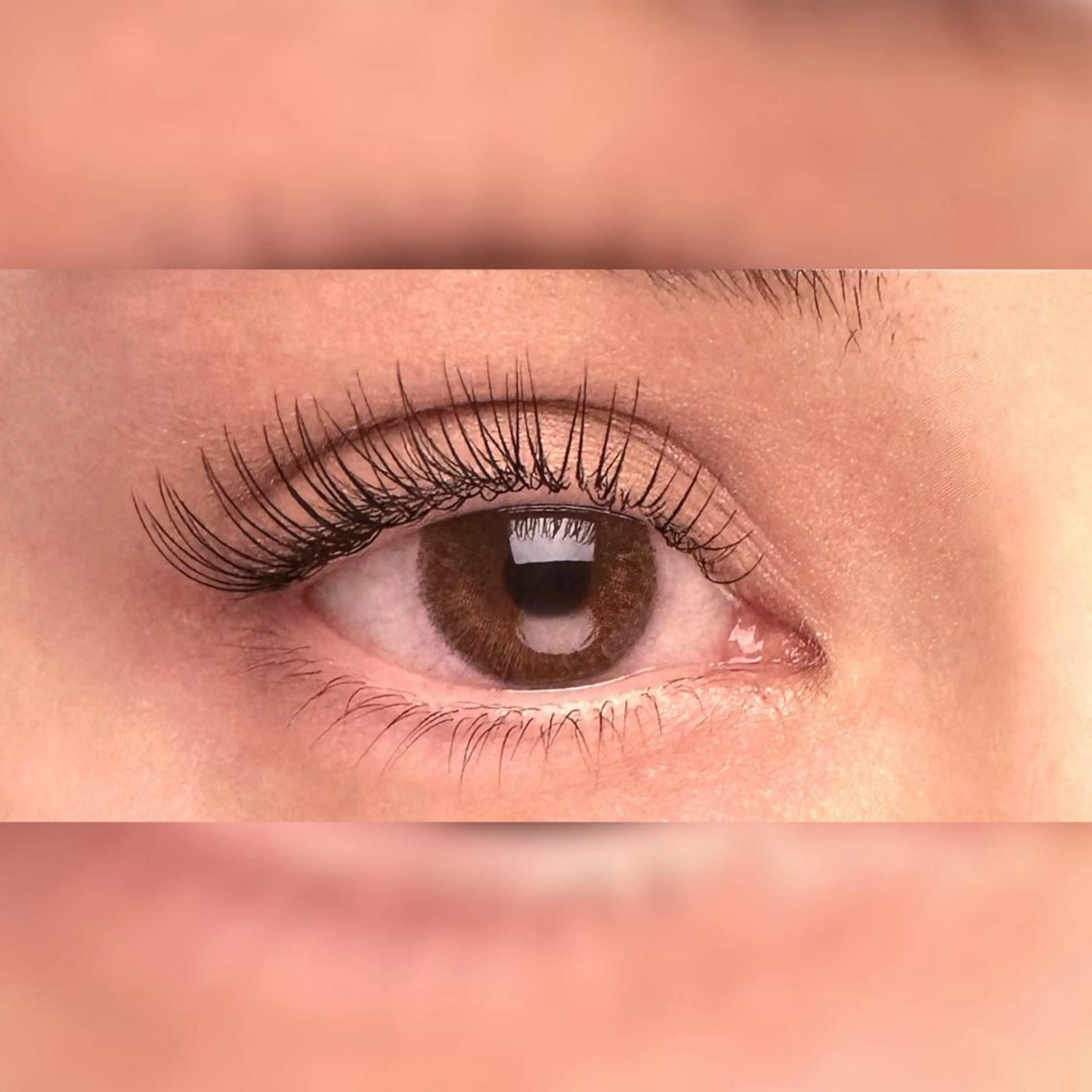 マツエク・マツパ ナチュラル ワンホンマツエク マツエク the  moons.所属・伊藤たから☾ the moons.のマツエク・マツパデザイン