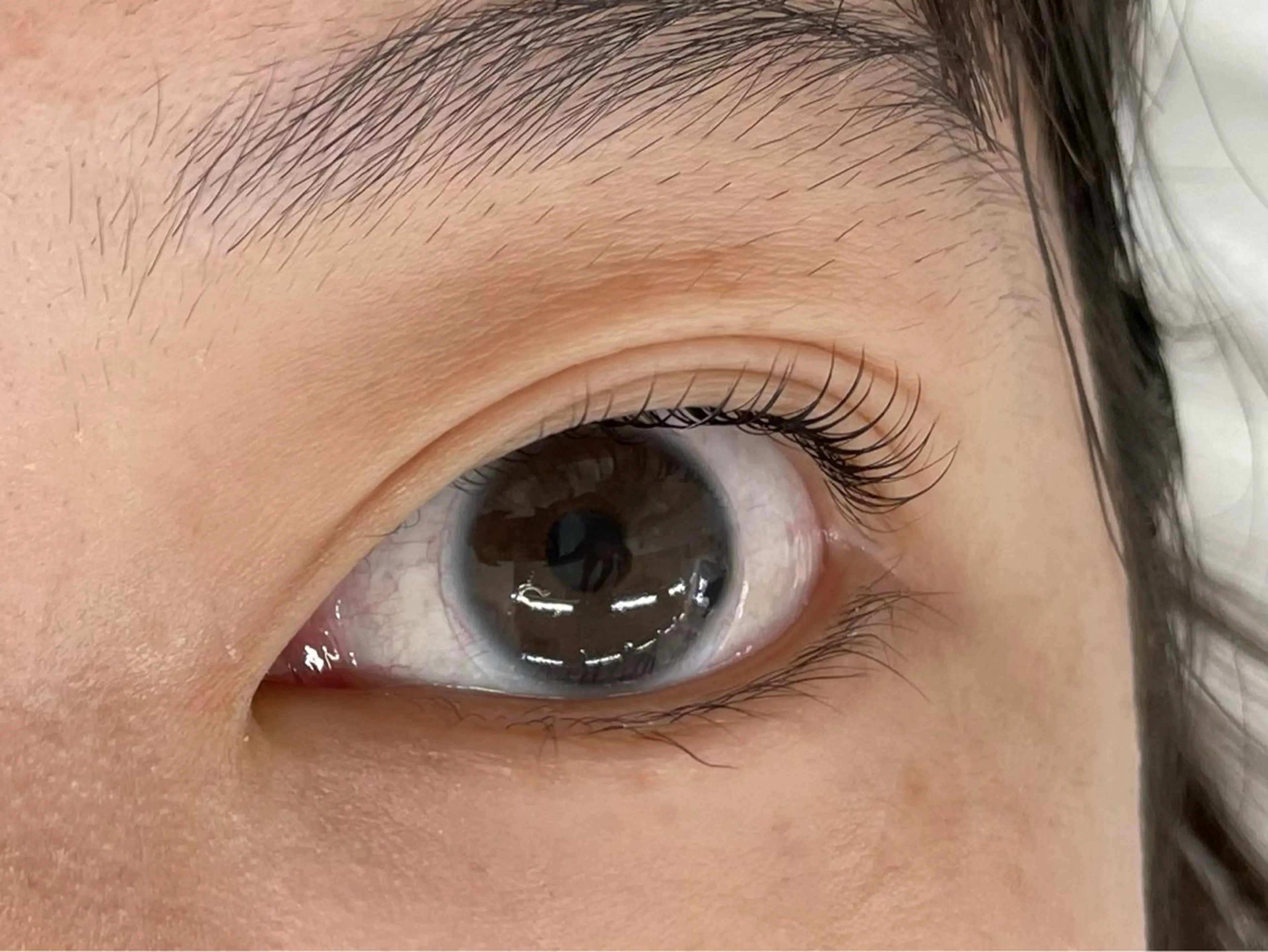 マツエク・マツパ マツパ マリーテレジア 🪻YUKAのマツエク・マツパデザイン