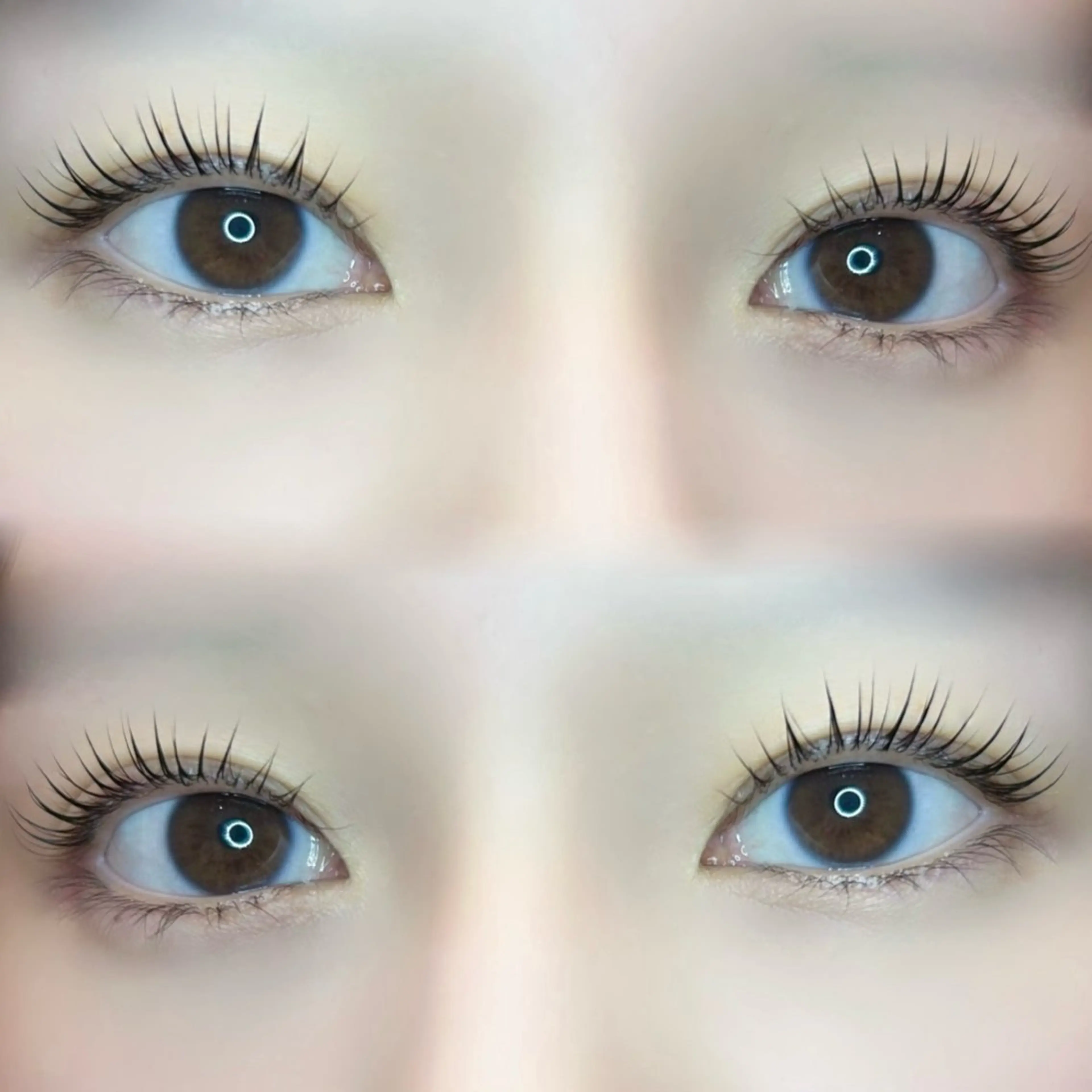 マツエク・マツパ 🍀fein. sakura🍀の眉毛・アイブロウイメージ