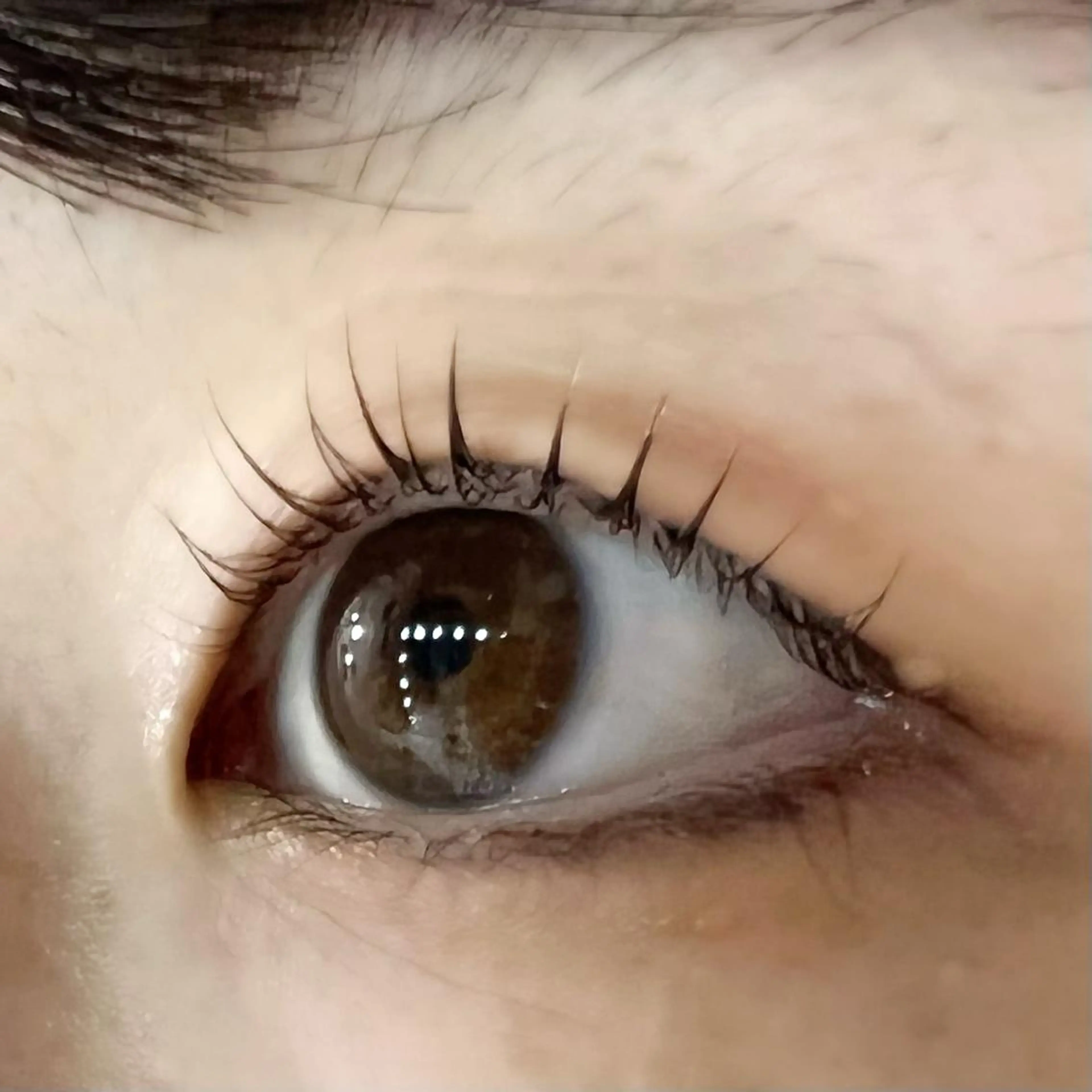 マツエク・マツパ パリジェンヌラッシュリフト 一重×まつ毛パーマ Celeste Venus所属・🧸Celeste Venusのマツエク・マツパデザイン