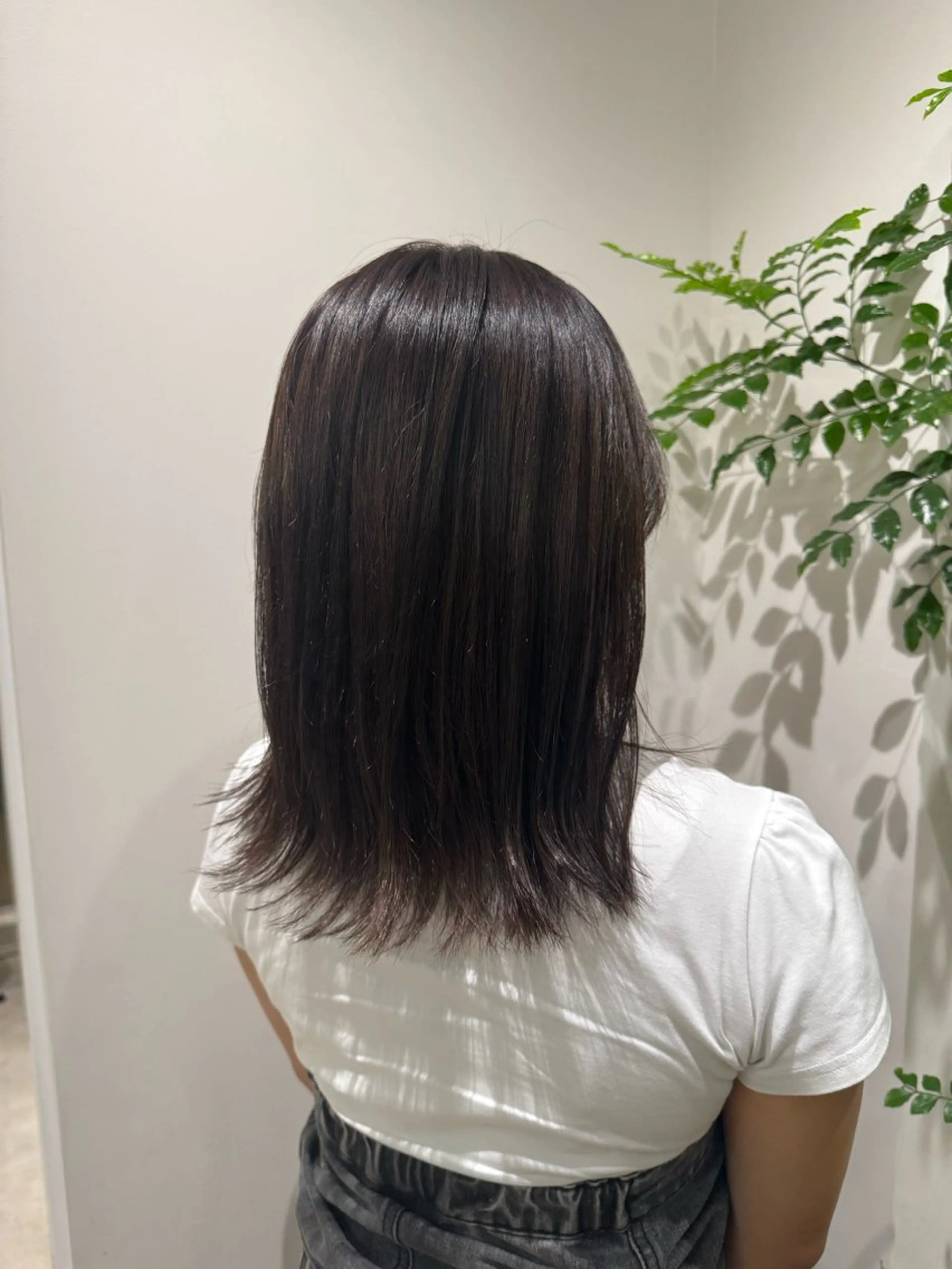 カラー かねこ くれはのヘアスタイル