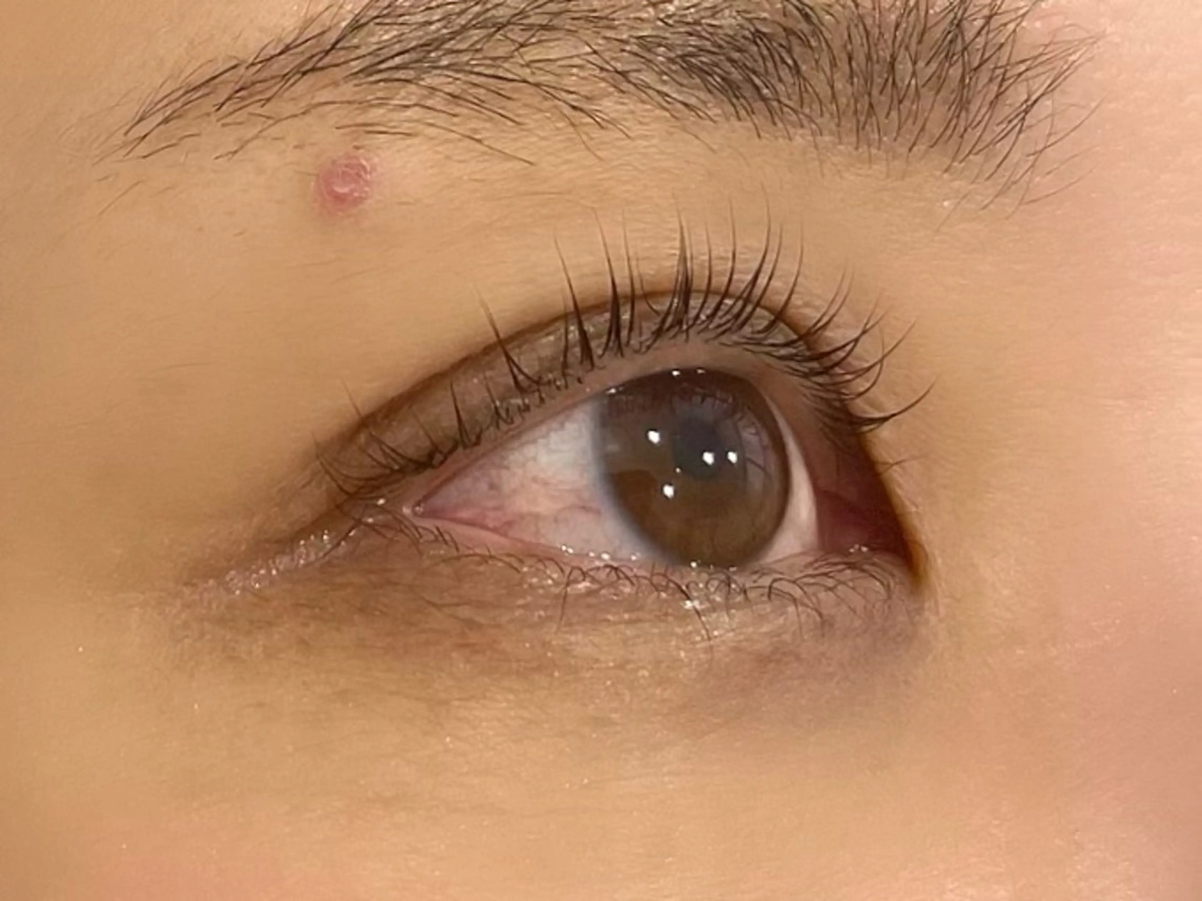 マツエク・マツパ マツパ epill Lenna .🦋のマツエク・マツパデザイン