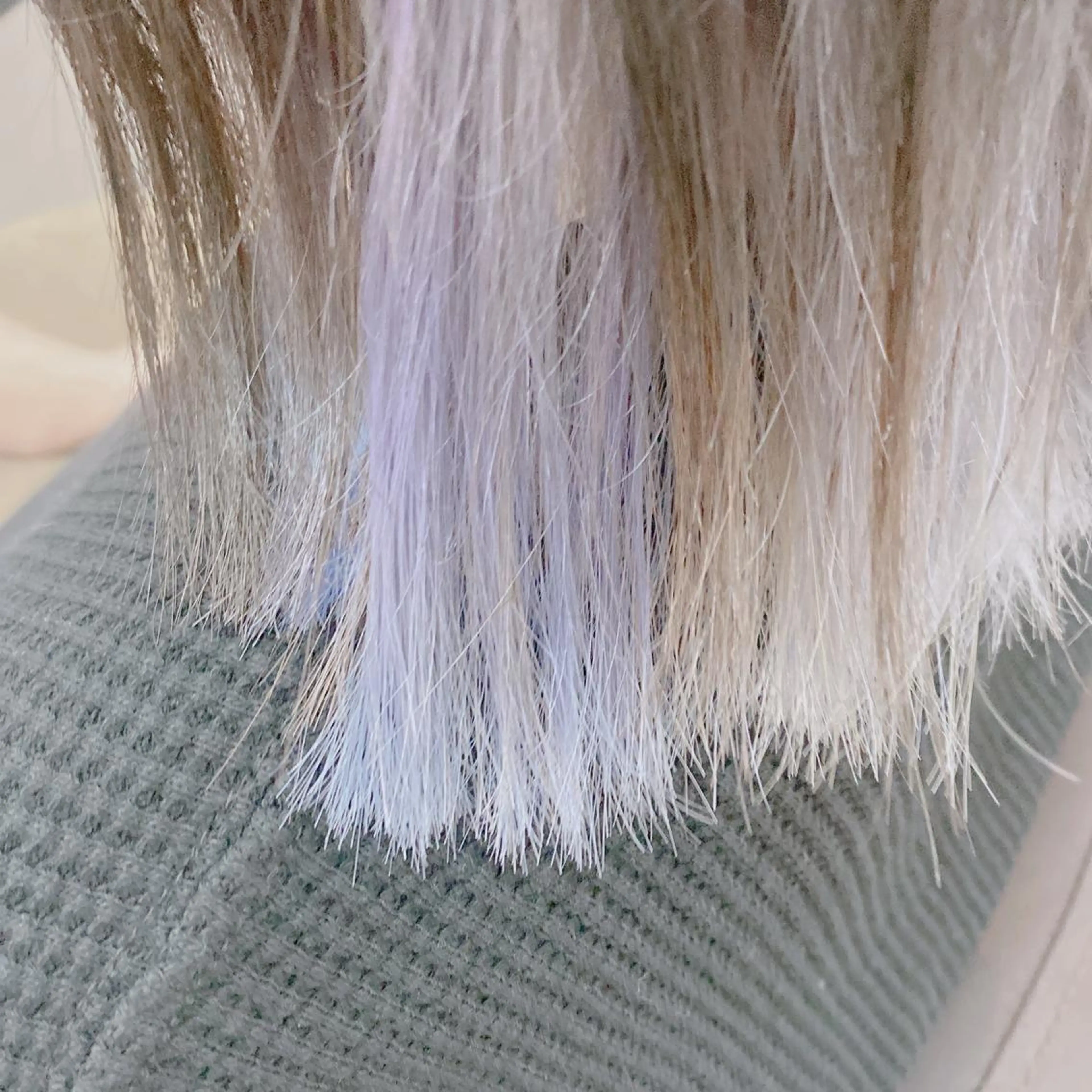 カラー SAKA GUCHIのヘアスタイル