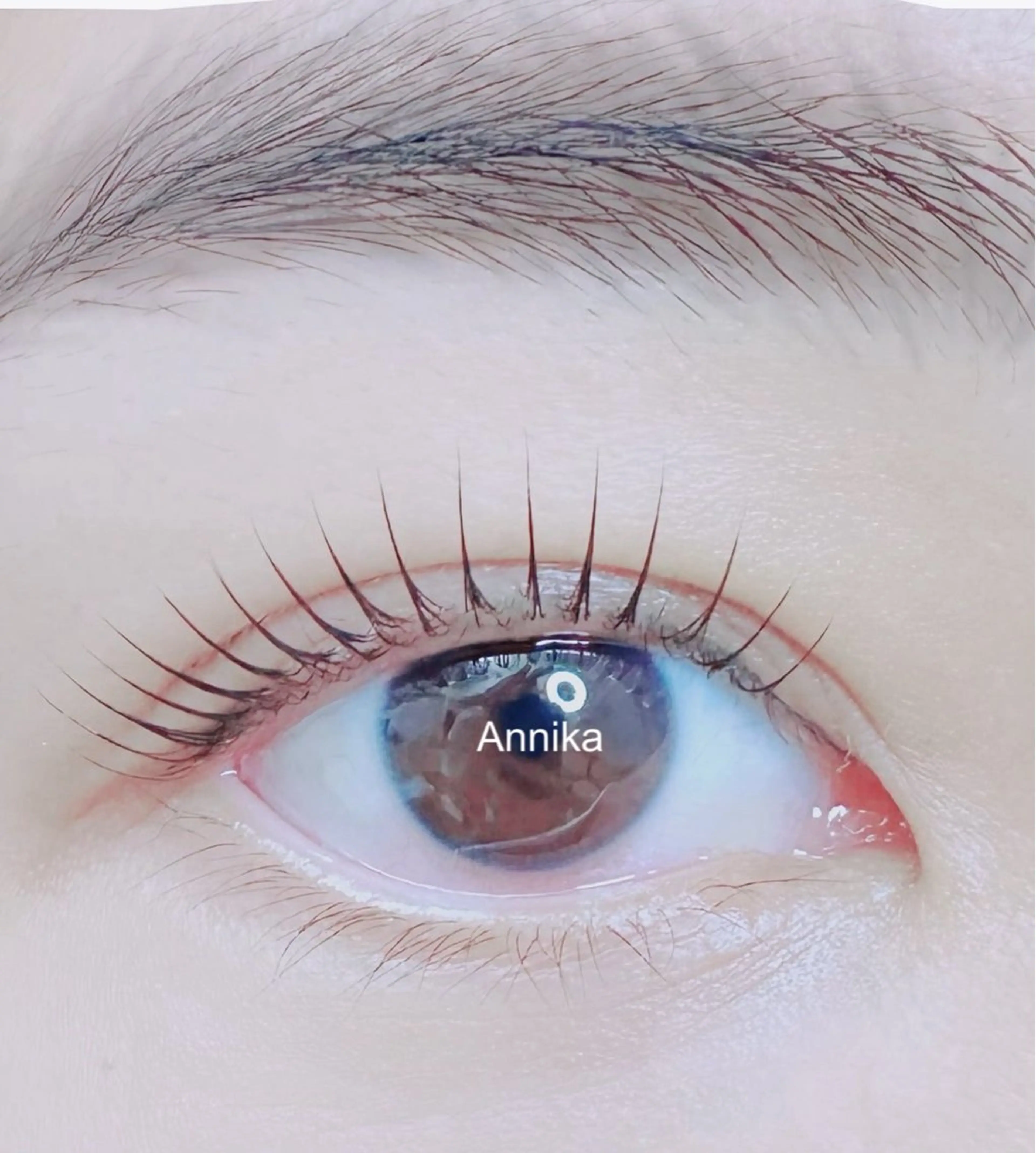 まつ毛パーマ（上） 韓国10種類ロッド選べる高濃度美容液付き　土日祝+300円の写真