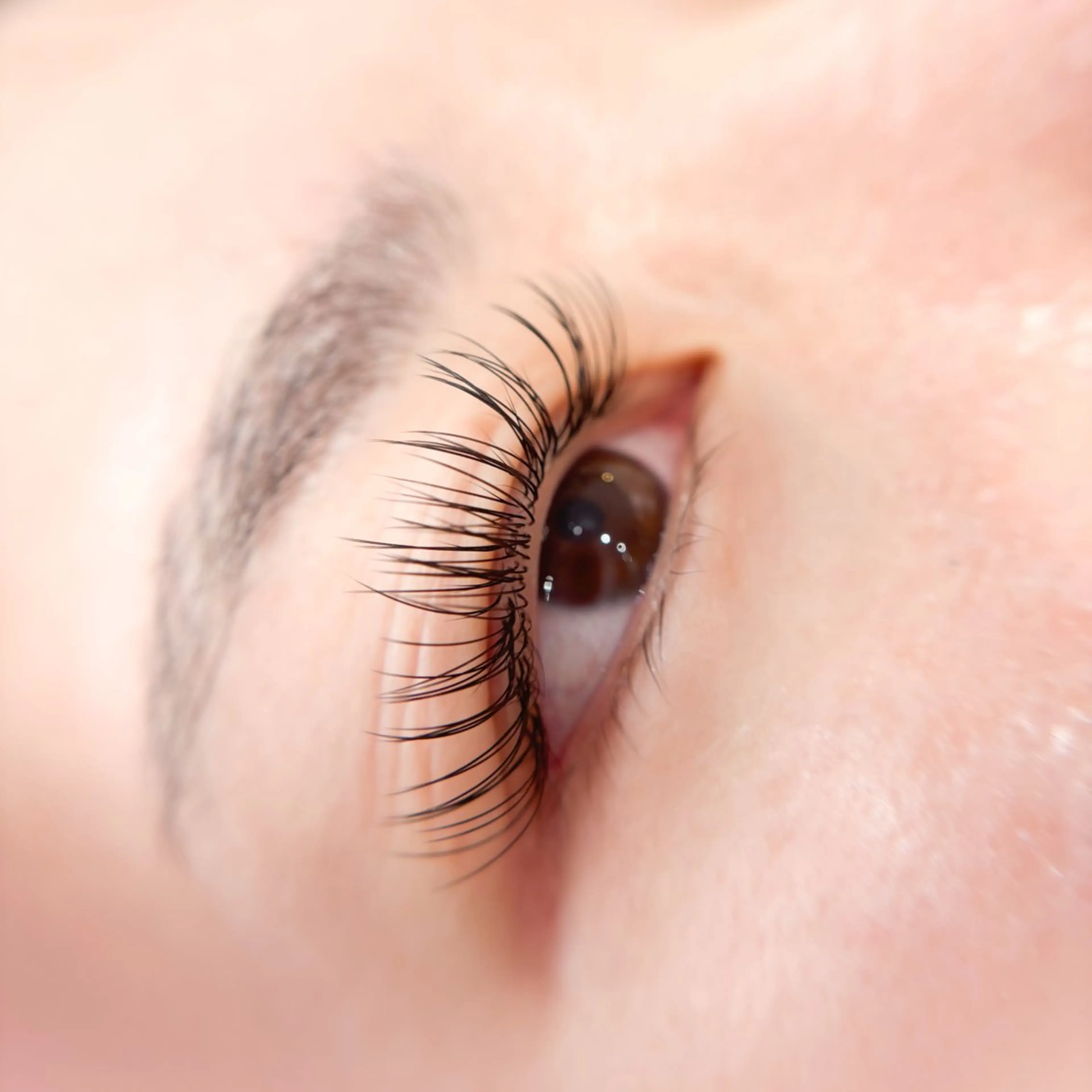 マツエク・マツパ Aprilush🦋 Cieloのマツエク・マツパデザイン