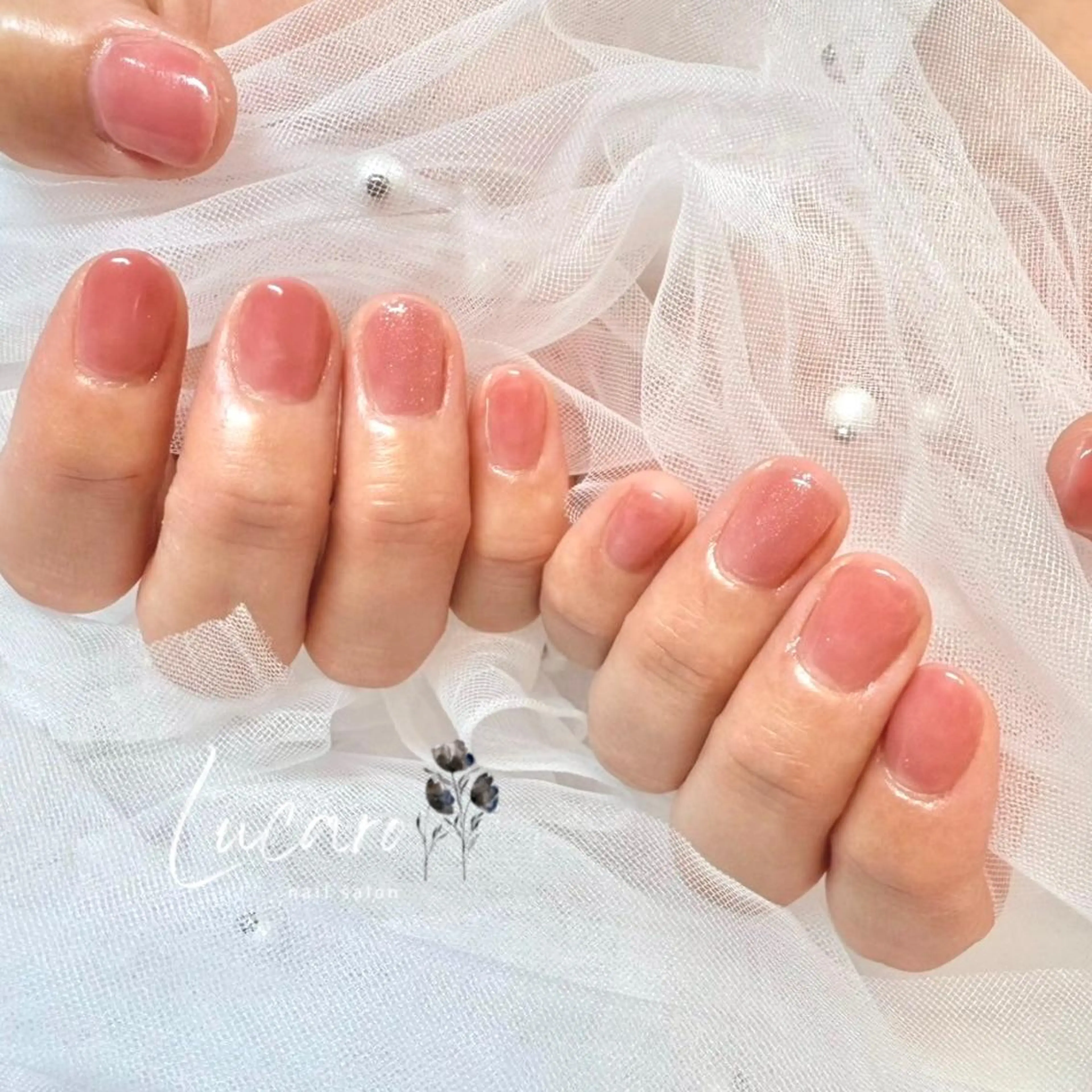 ワンカラー3990の写真