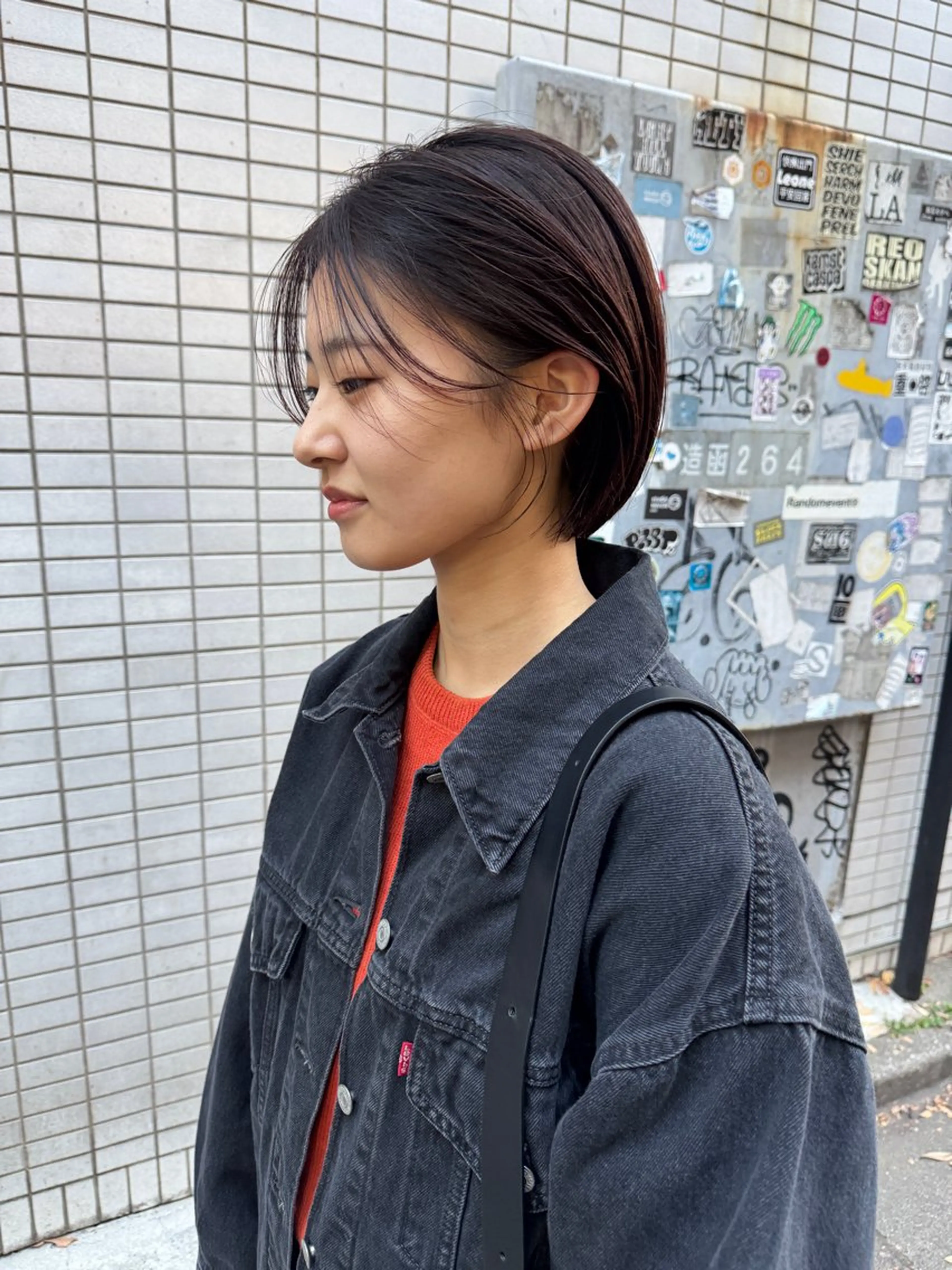 ショート カラー レイヤーカット/ 火ノ見🪡のヘアスタイル