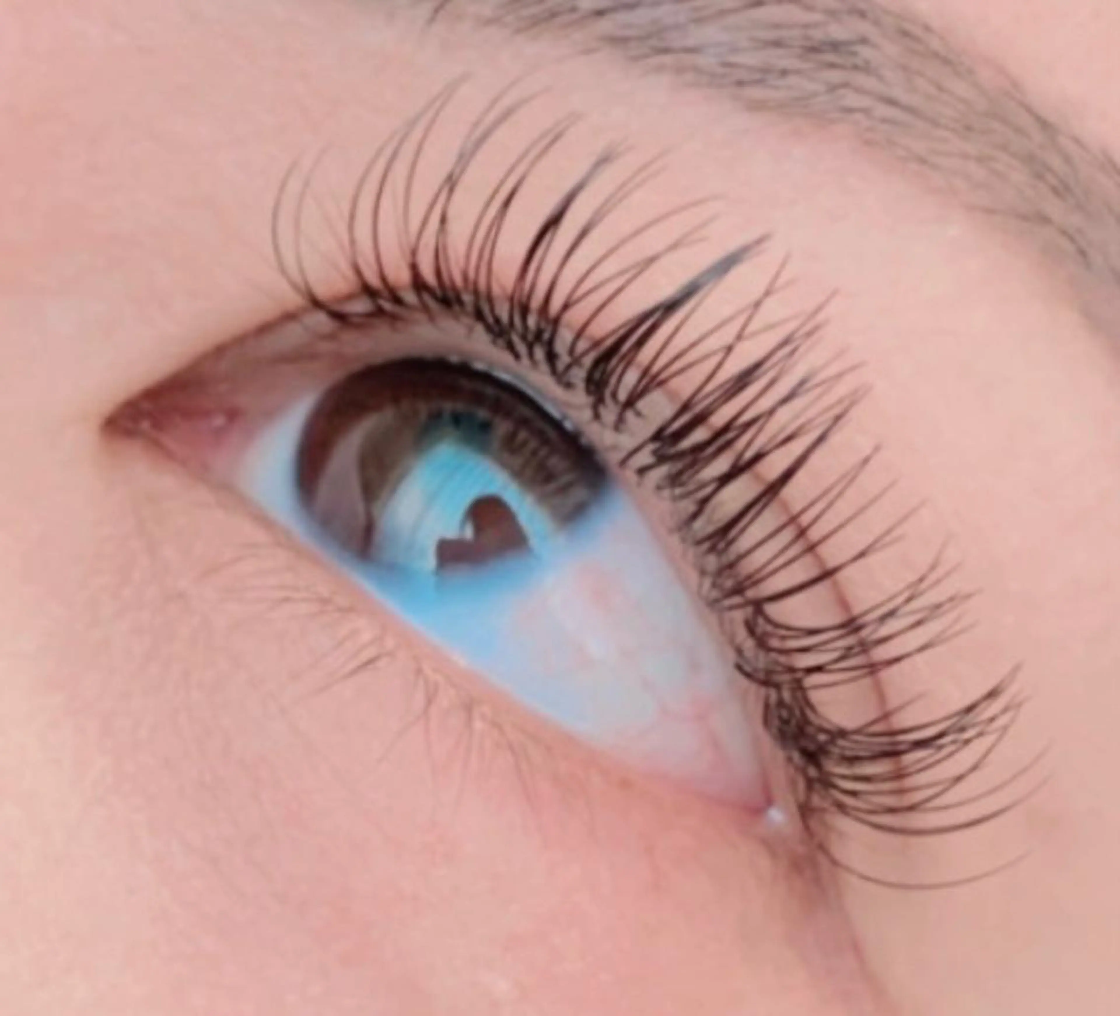 【ご新規様オフ無料】フラットマットラッシュ付け放題/本数上限なしの写真